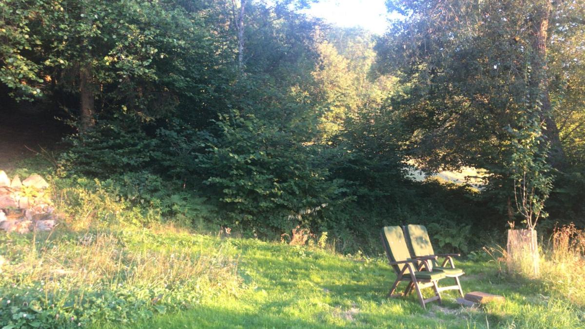 Photo 44
