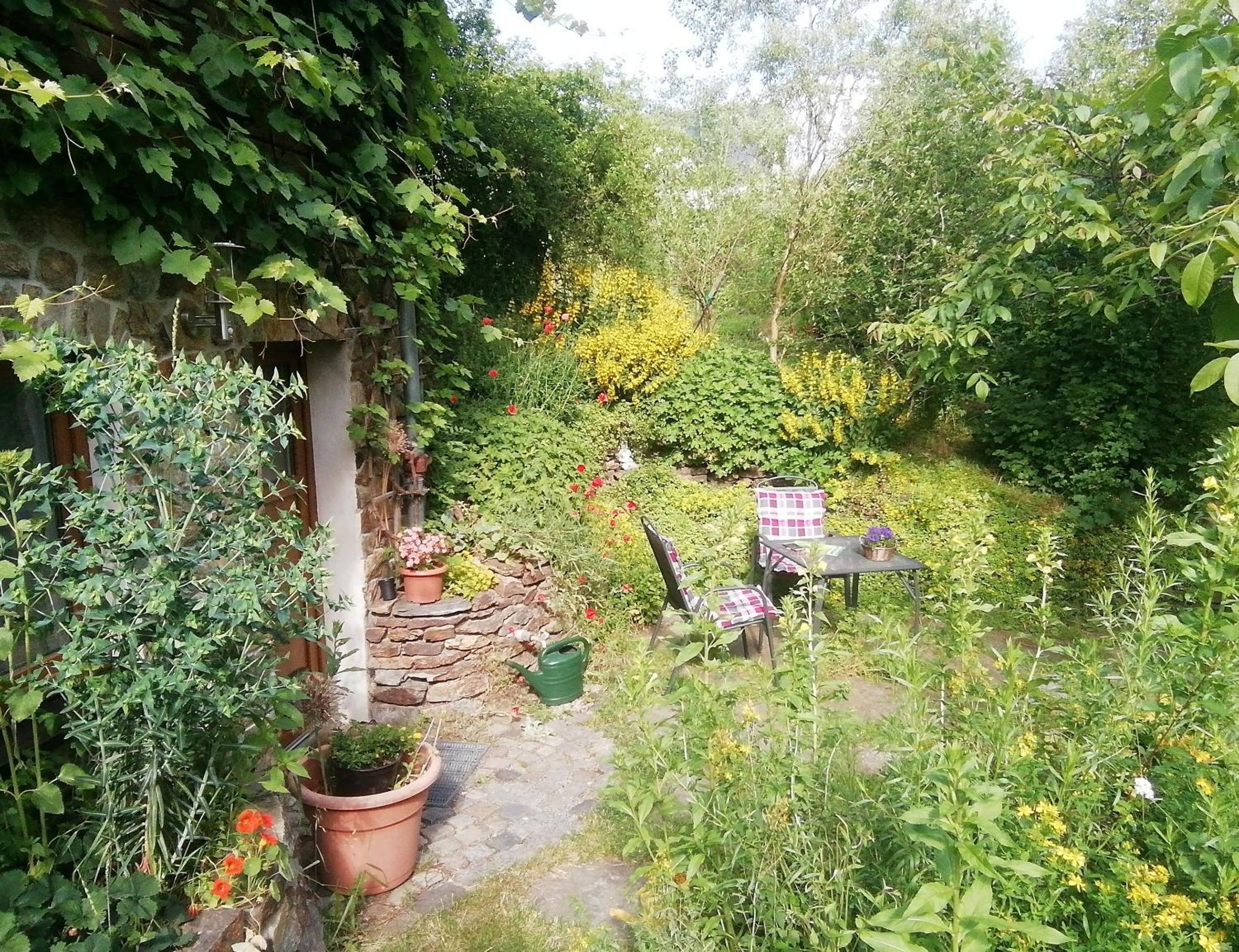 Photo 26