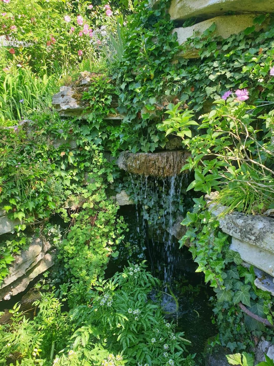 Photo 14
