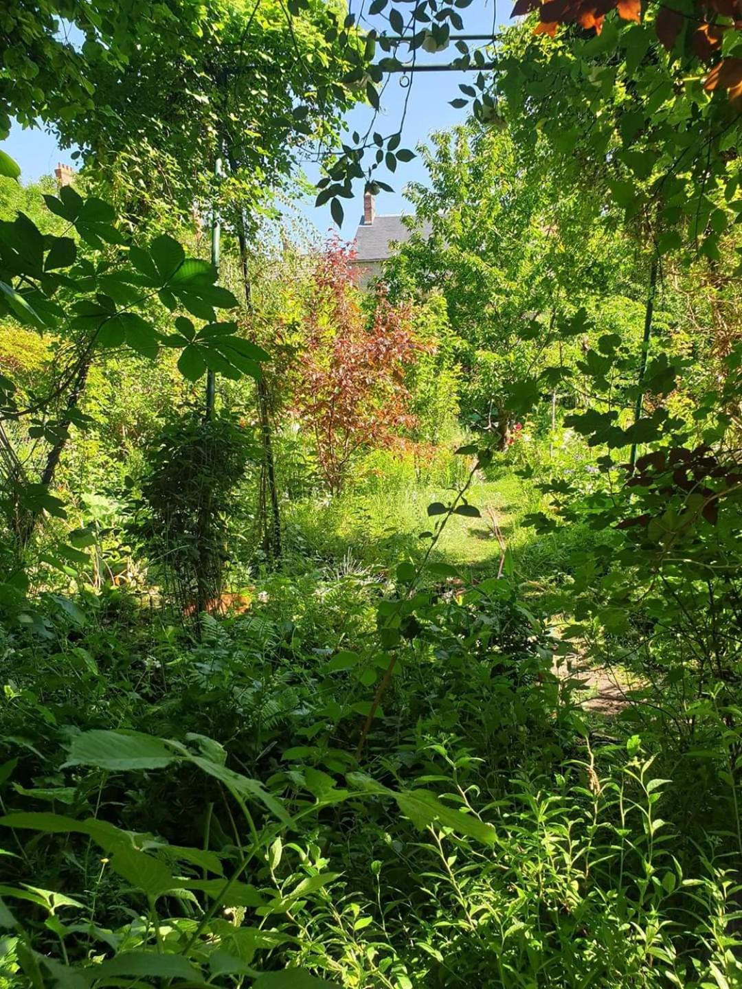 Photo 17