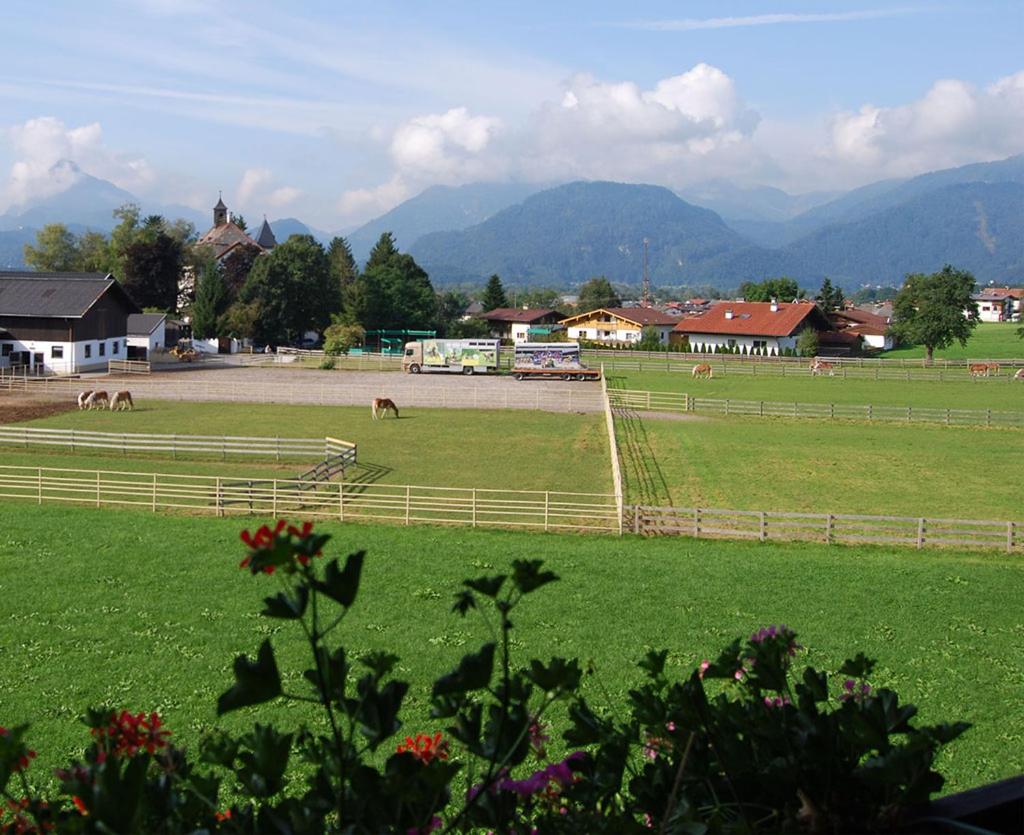 Bauernhof Grafenhof