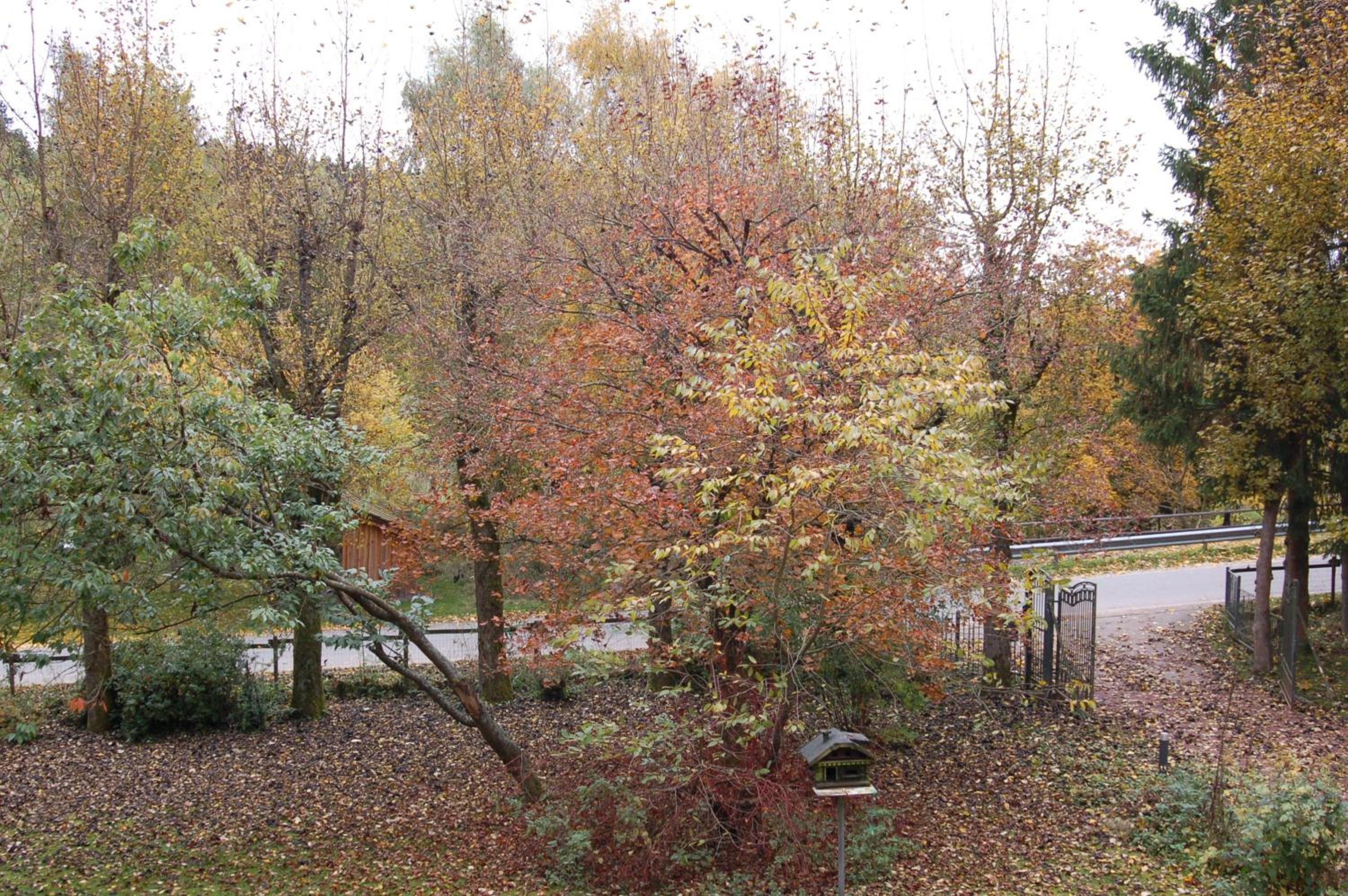B&B Het Groote Genoegen