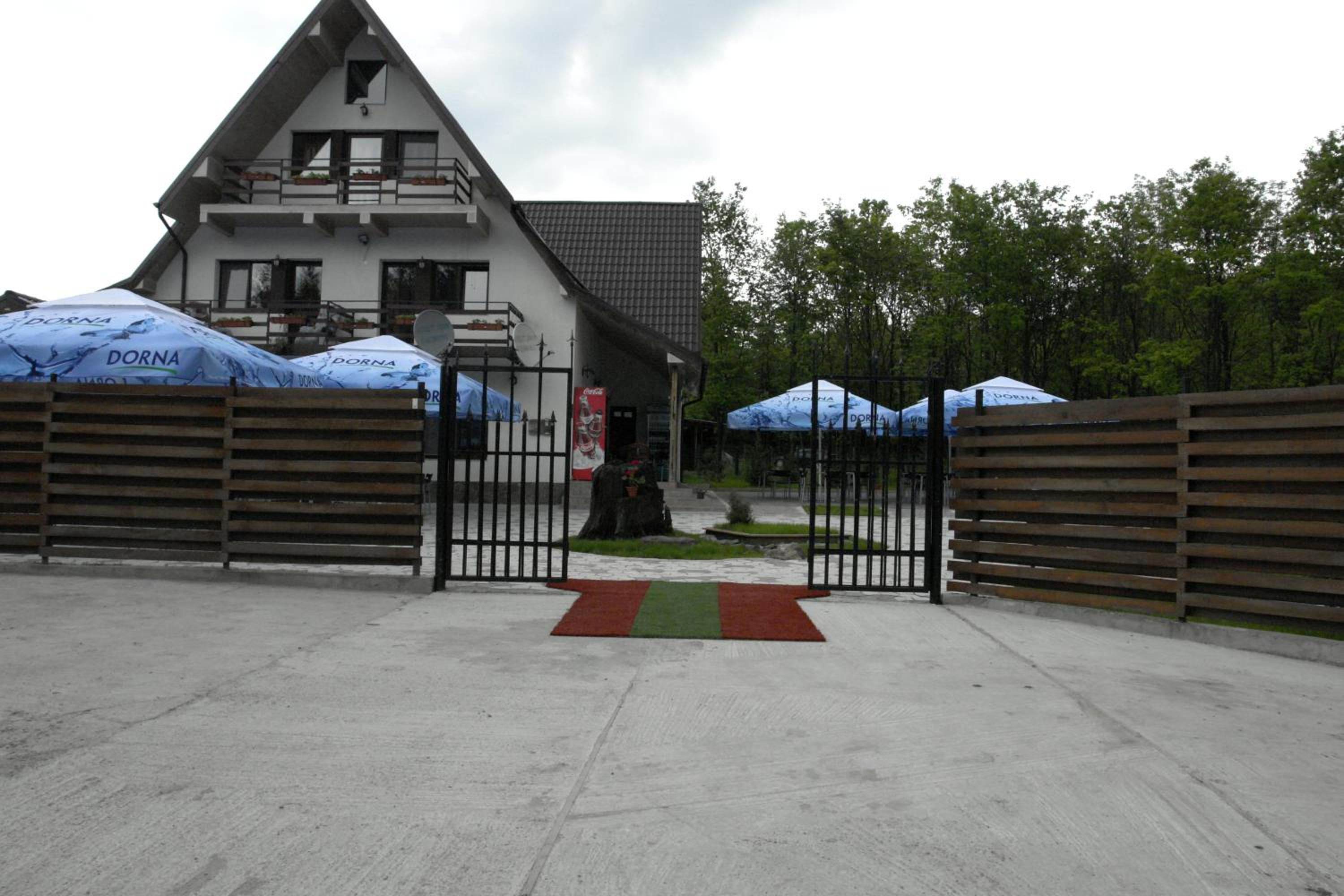 Photo 19