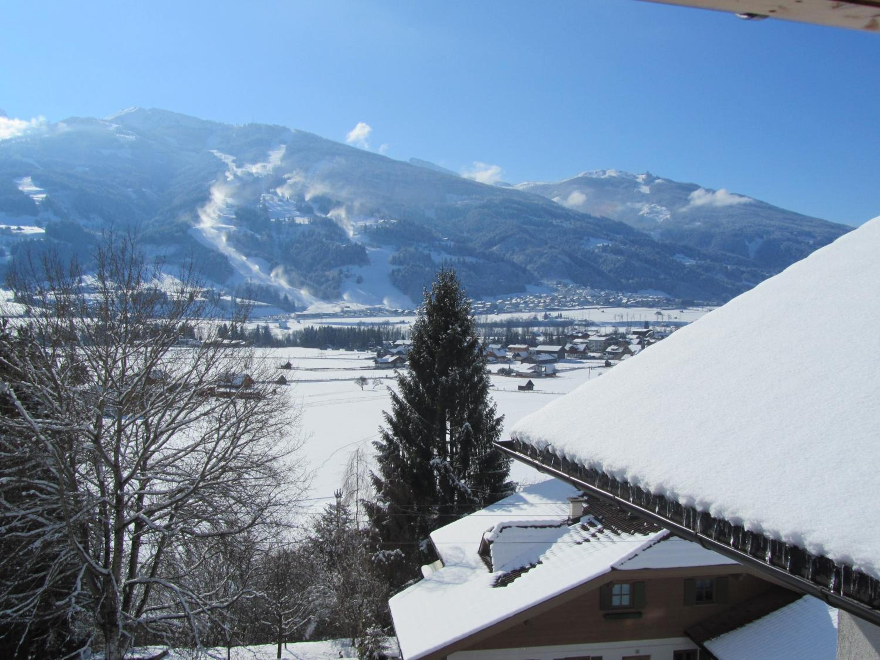 Photo 42