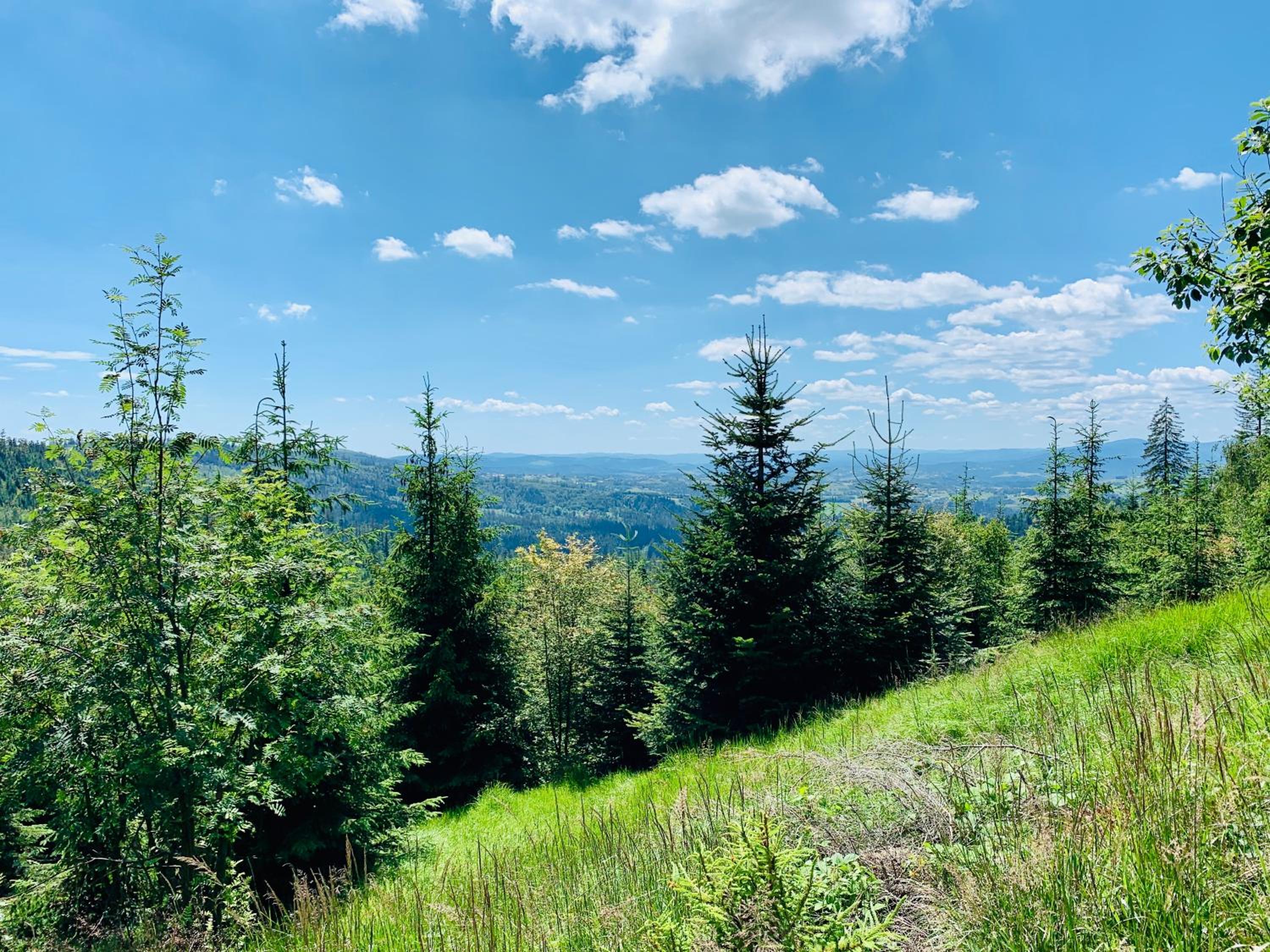 FlowMove Retreat Kamesznica view 2