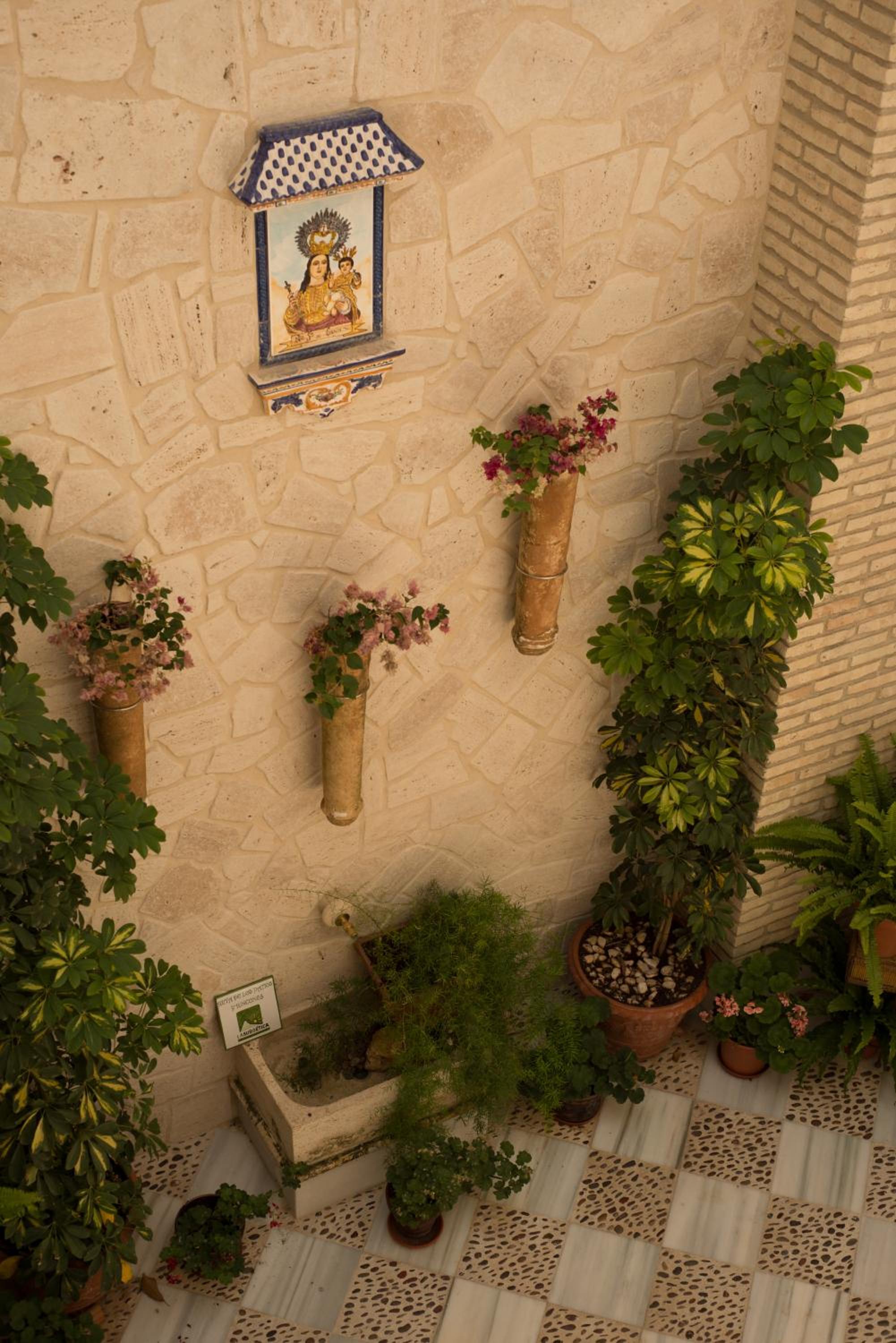 Photo 26