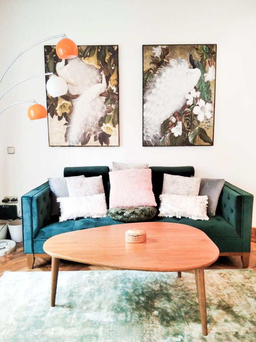 Chueca Boutique photo 2