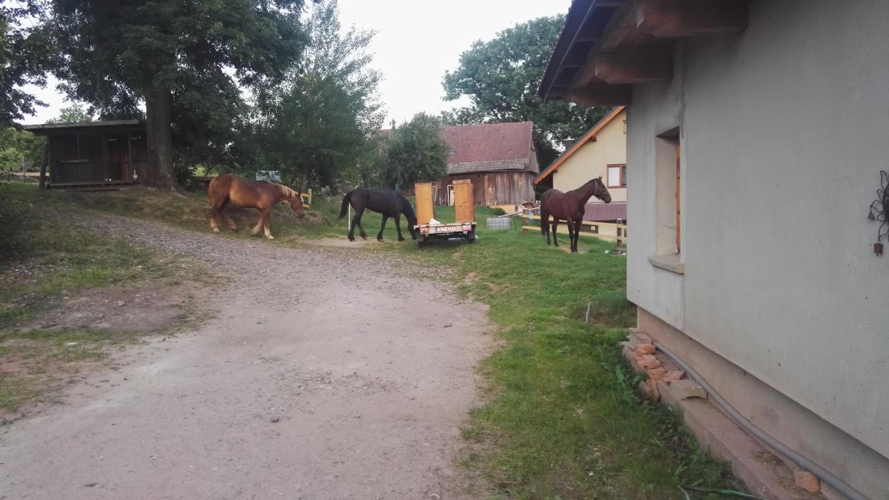 Farma Hermína