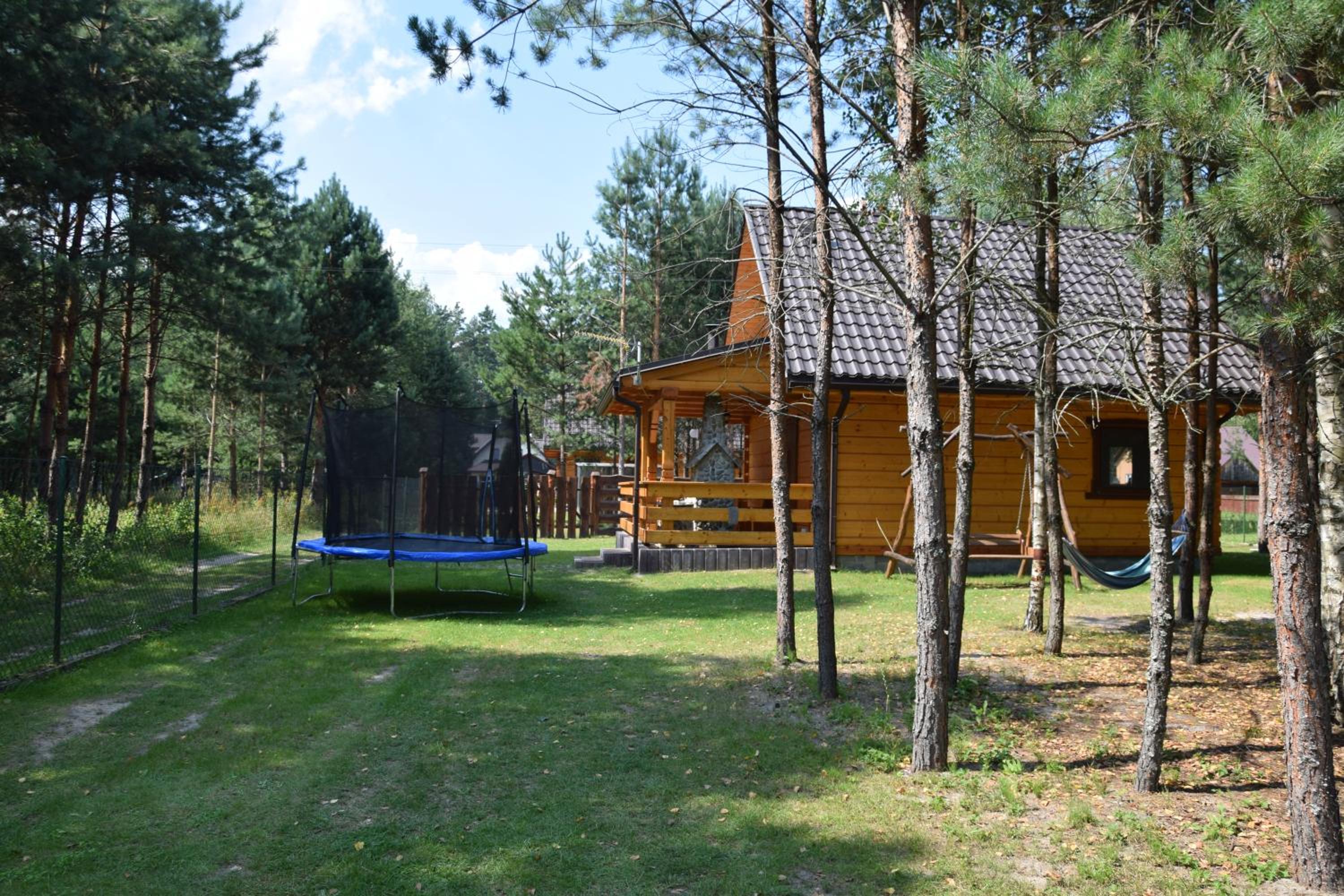 Zacisze Leśne- Domek do wynajęcia view 4