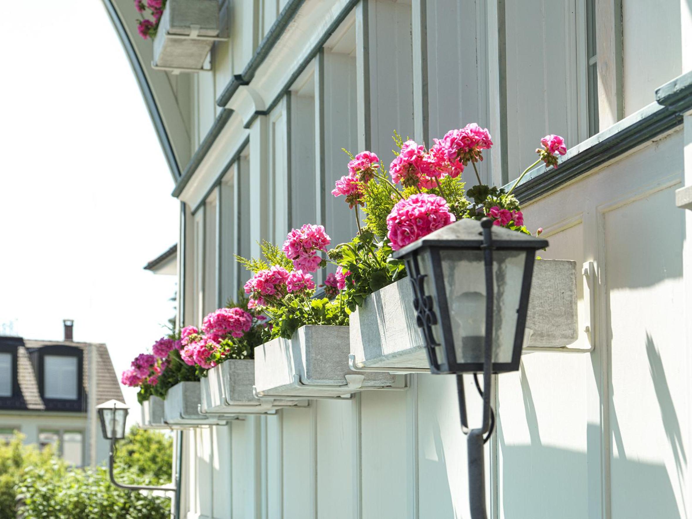 Hotel B&BAlpenheim