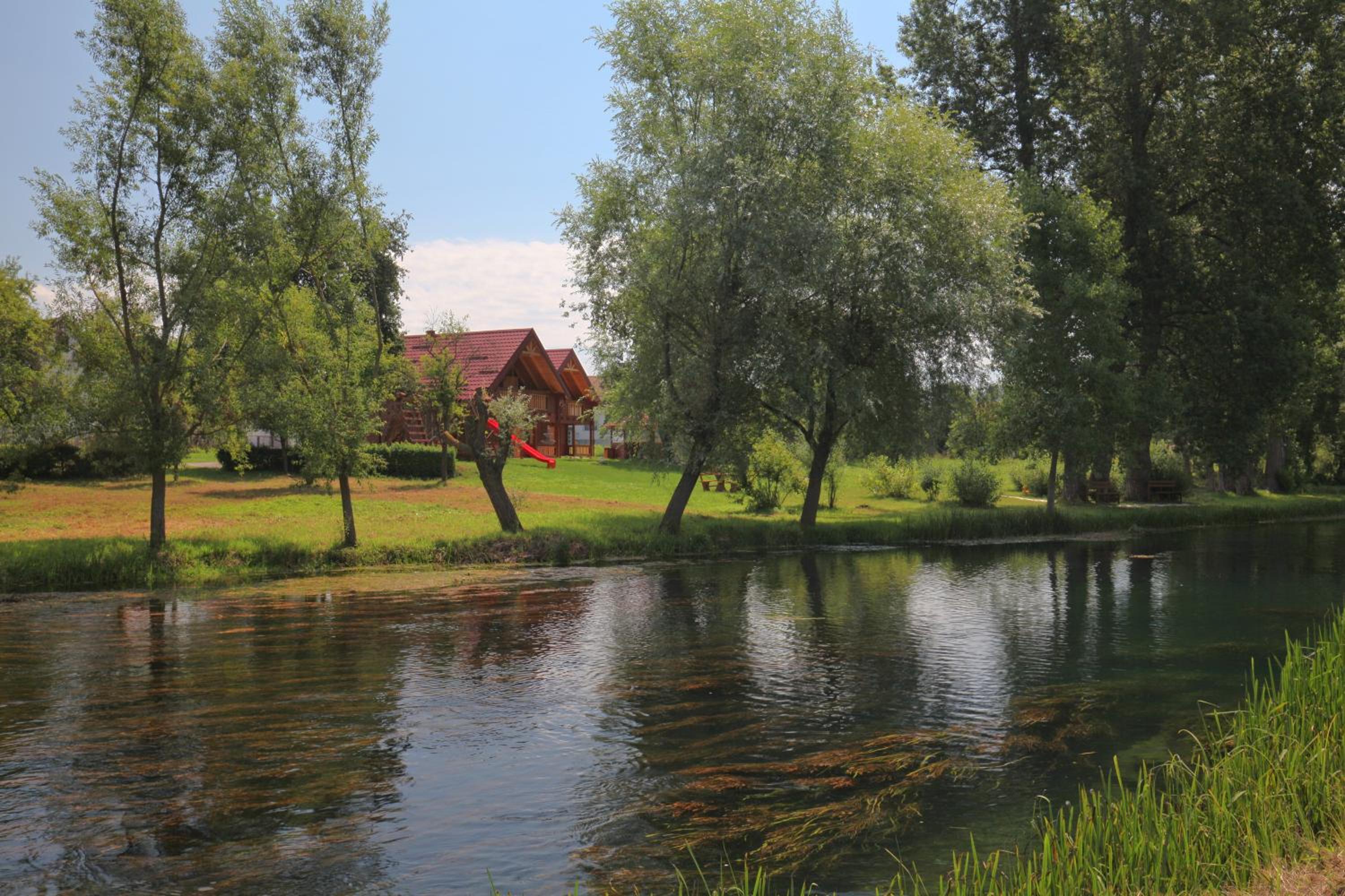 Photo 29