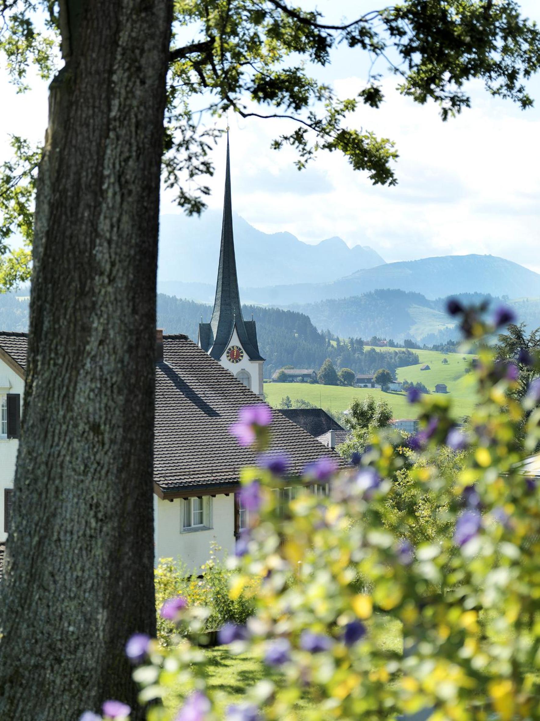 Hotel B&BAlpenheim