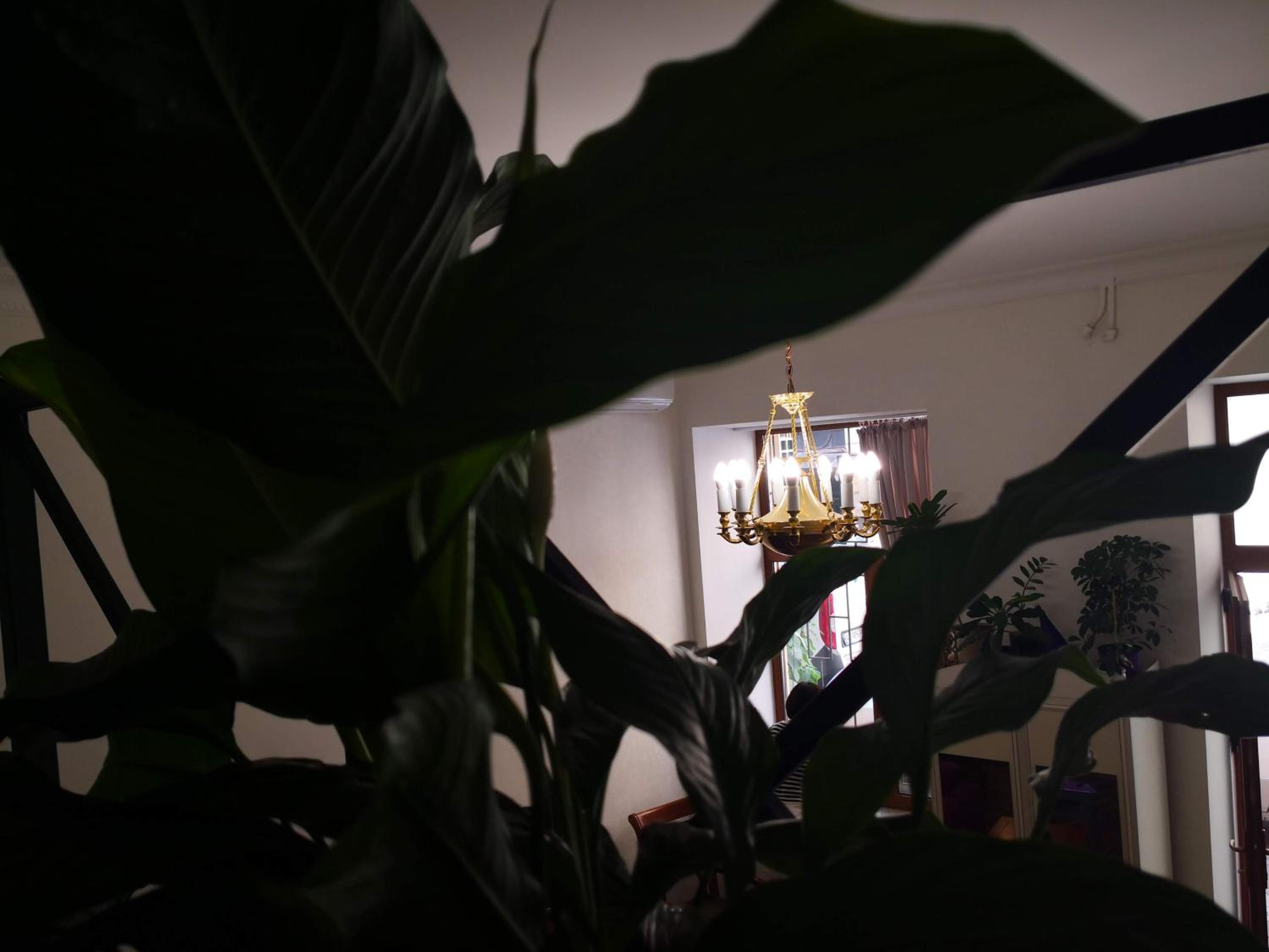 Photo 49