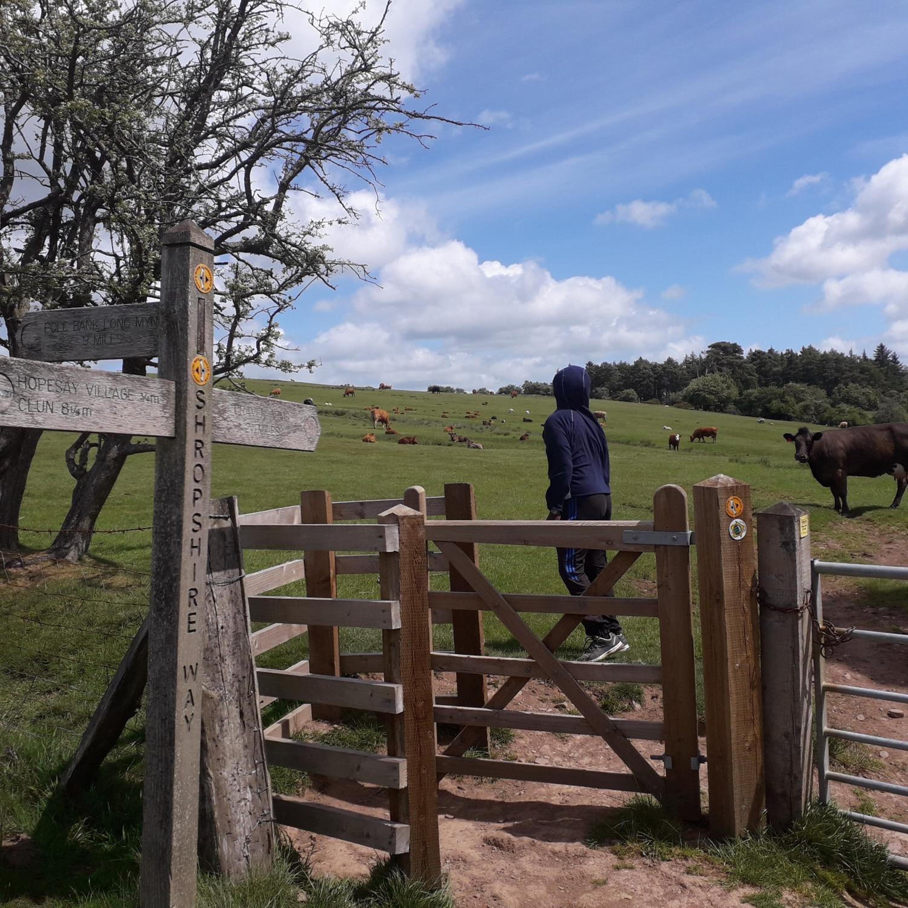 Photo 40