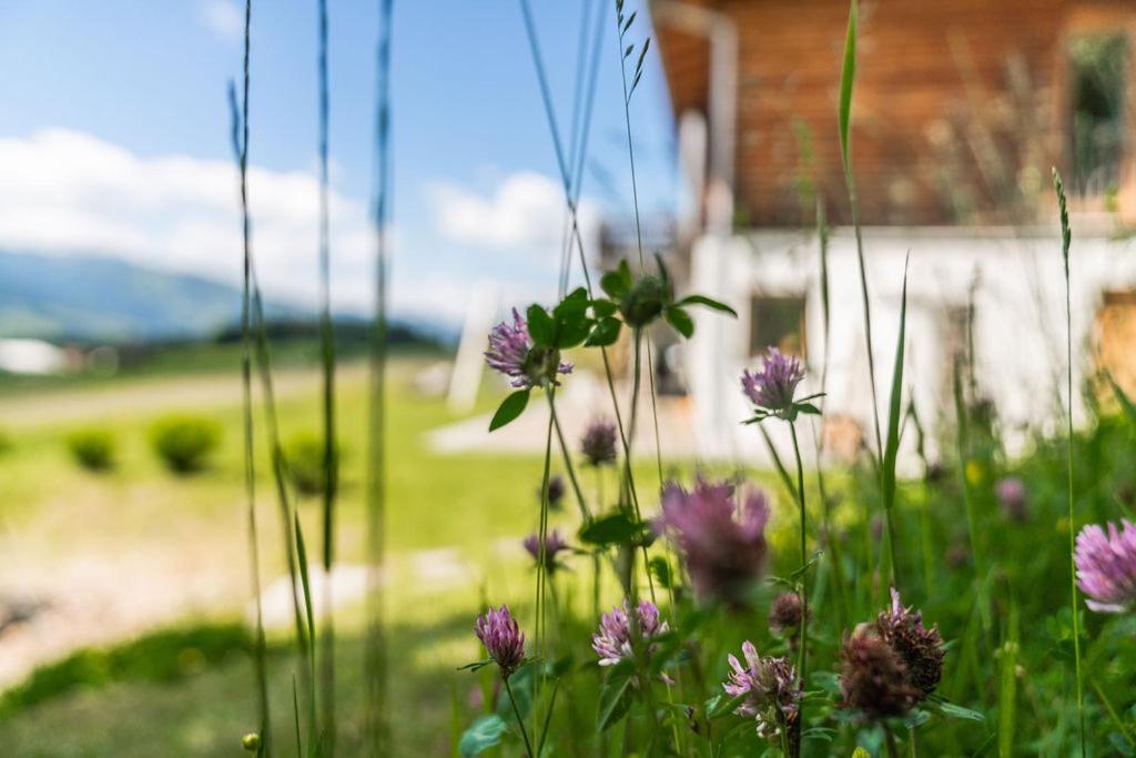 Appartement Felix by Schladmingurlaub