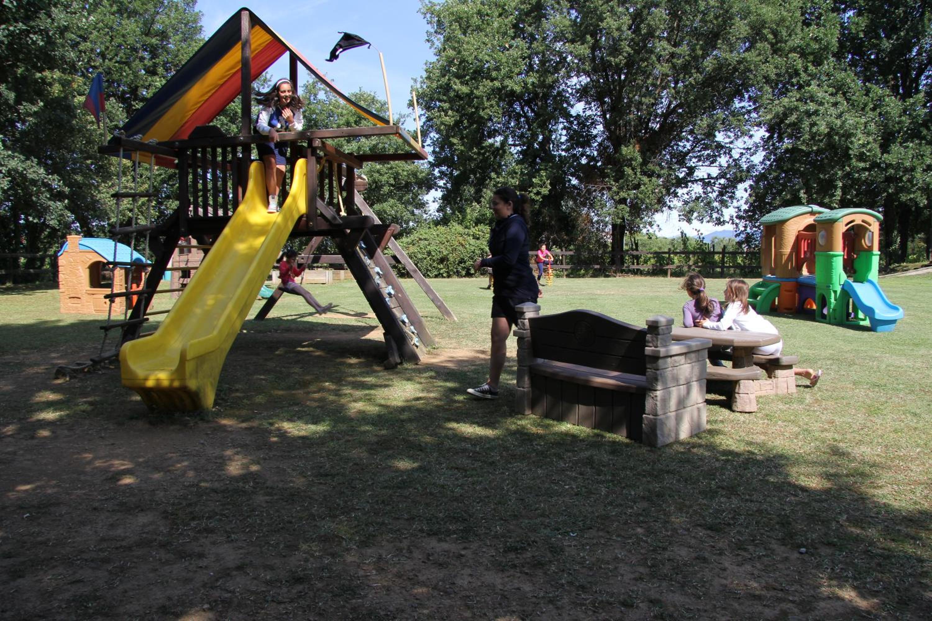 Photo 46