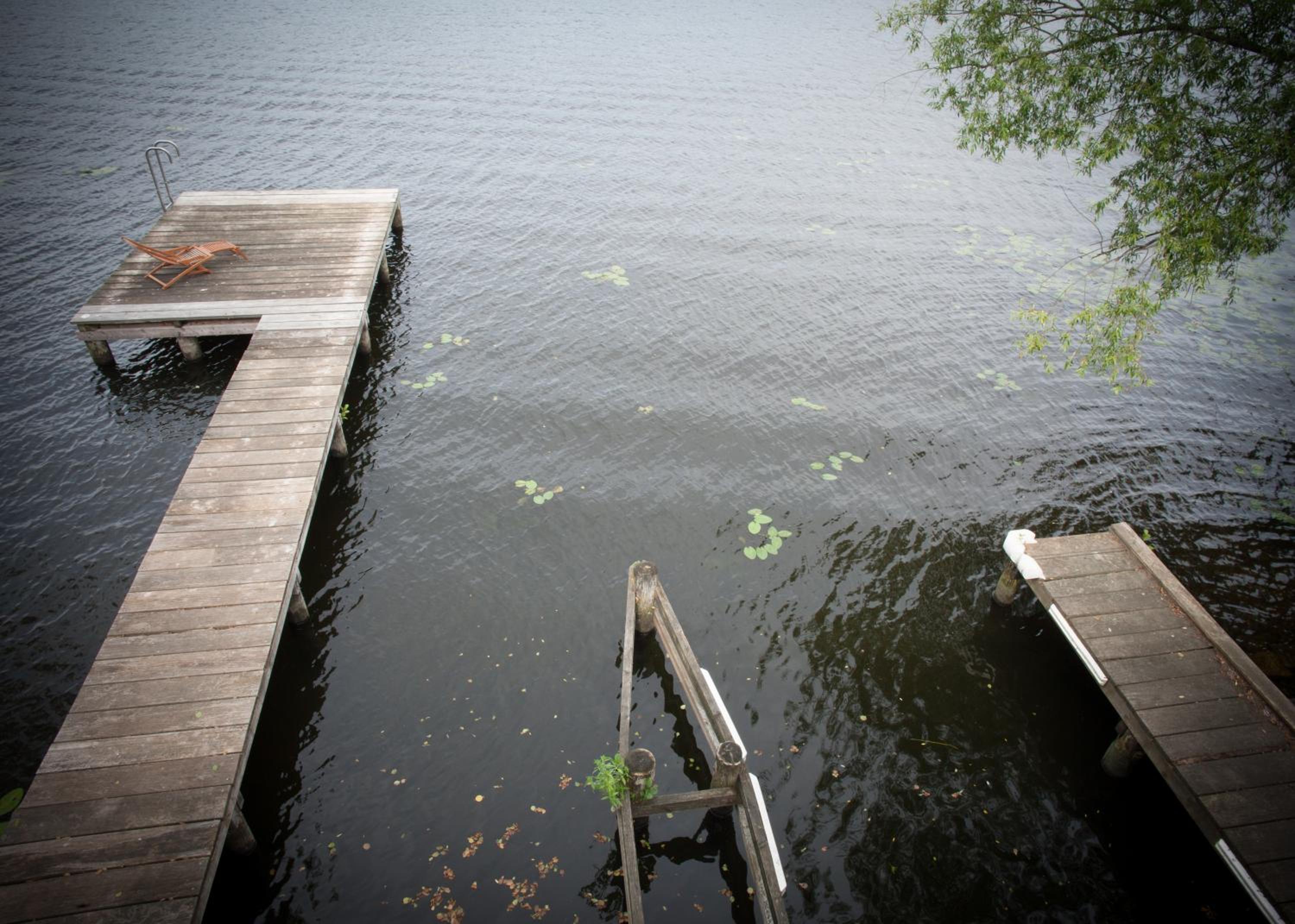 Photo 41