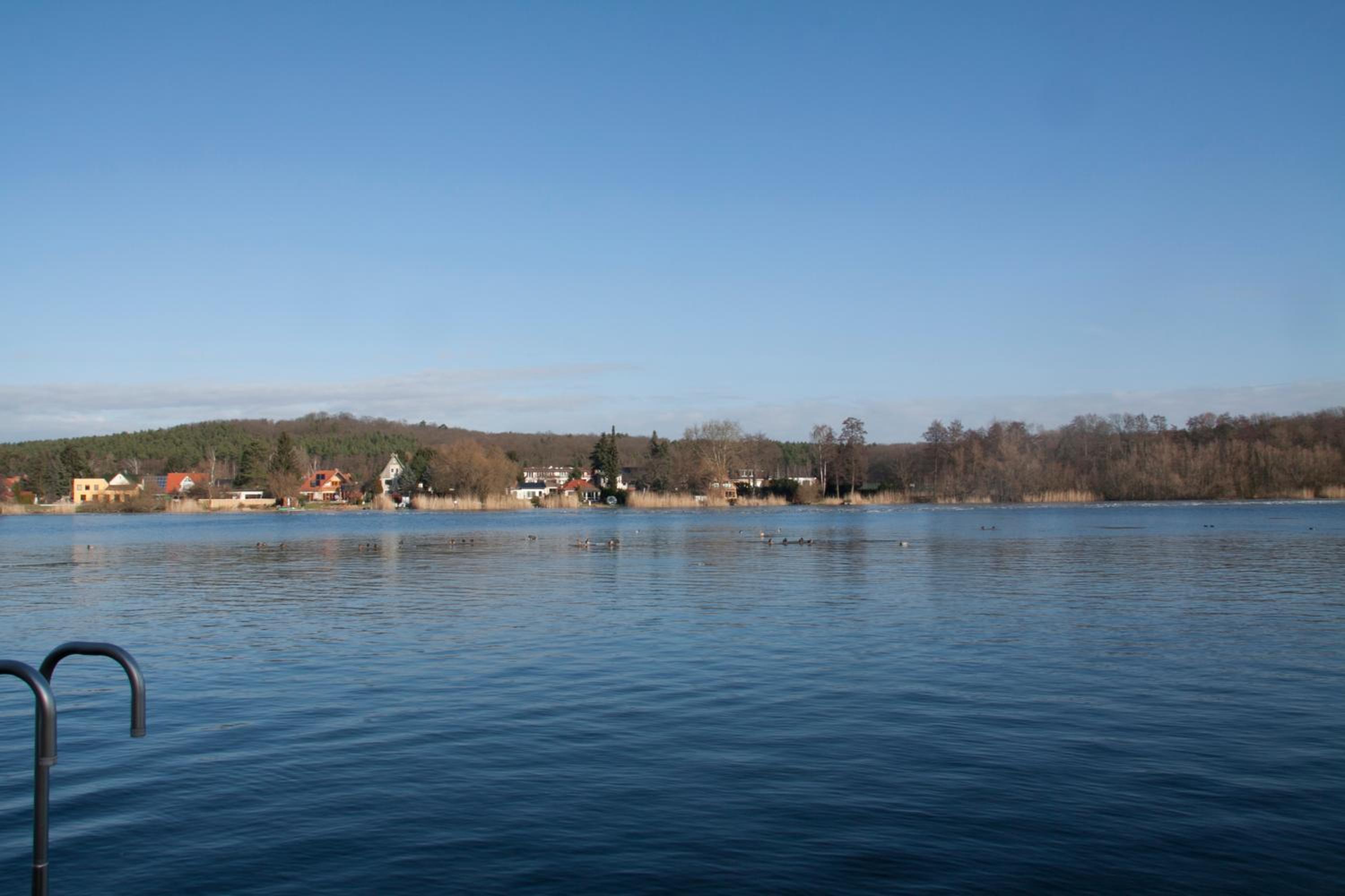 Photo 59