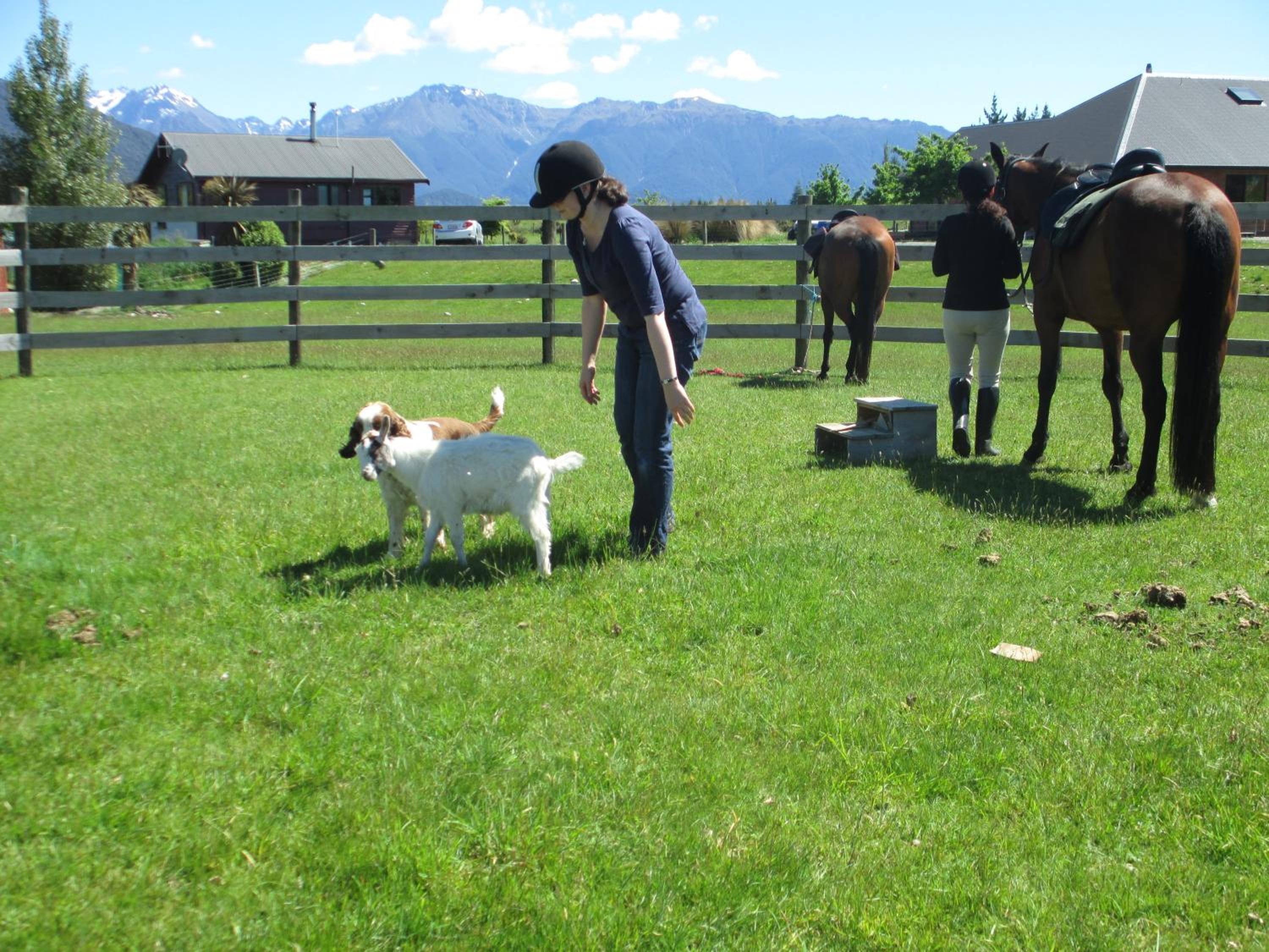 Photo 46