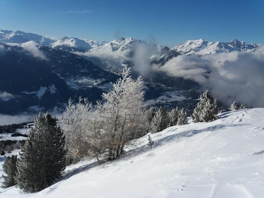 Photo 29