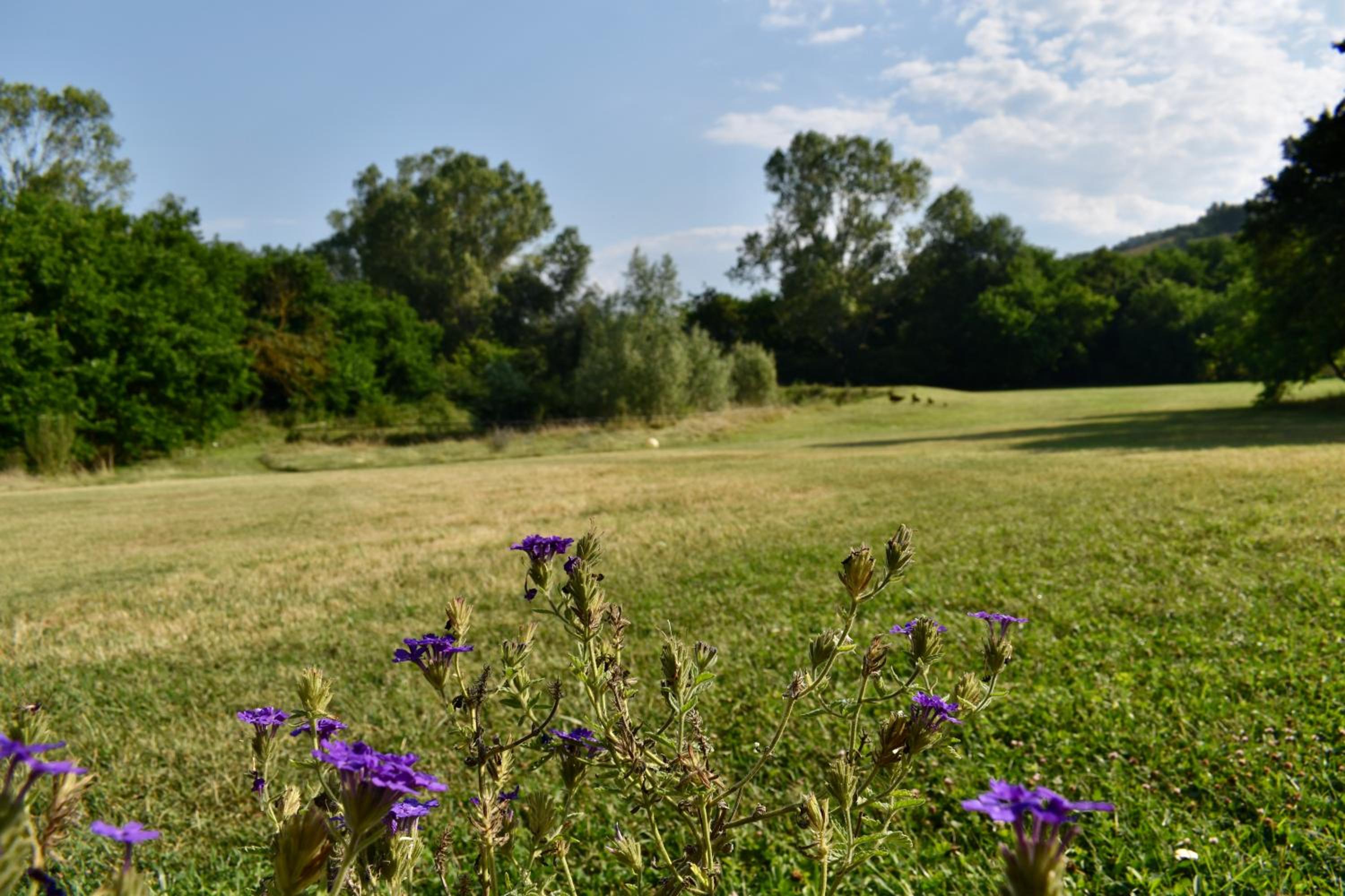Agriturismo La Sorgente view 4