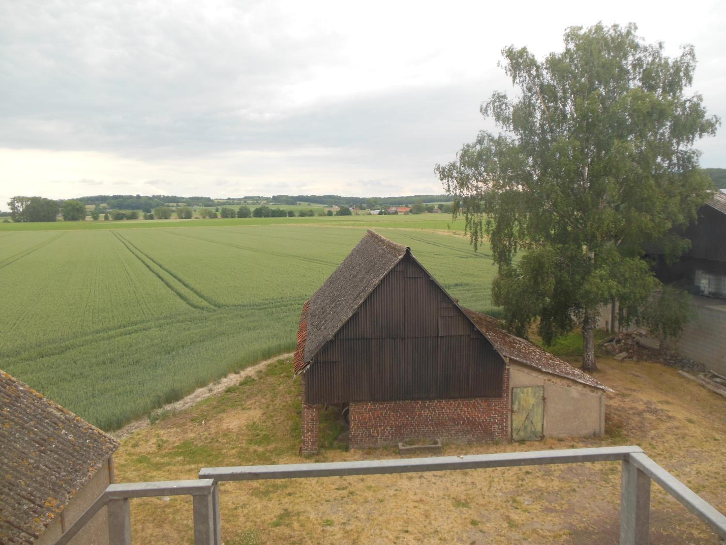 Hof Ten Beemd
