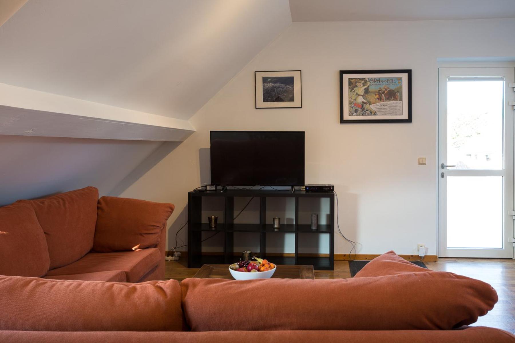Grand appartement Marie-Thérèse view 4