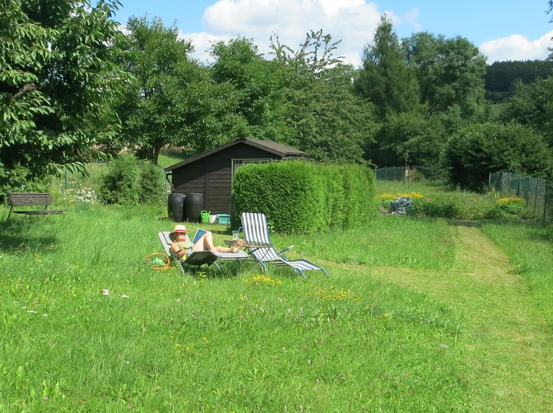 Photo 8