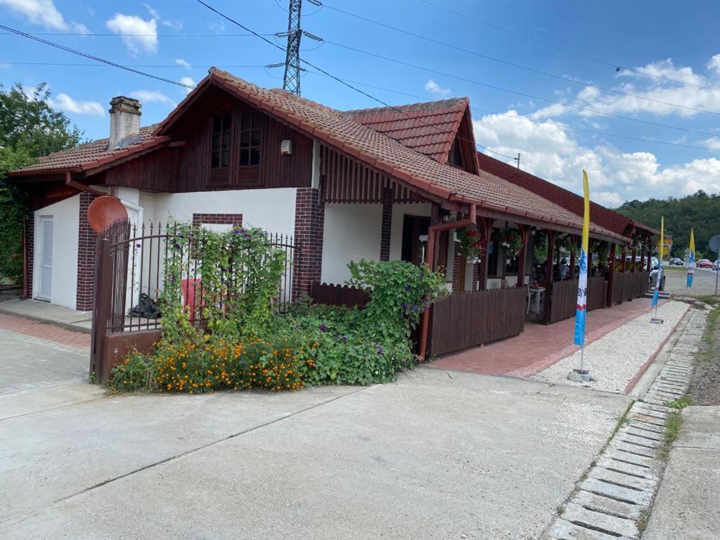 Photo 19