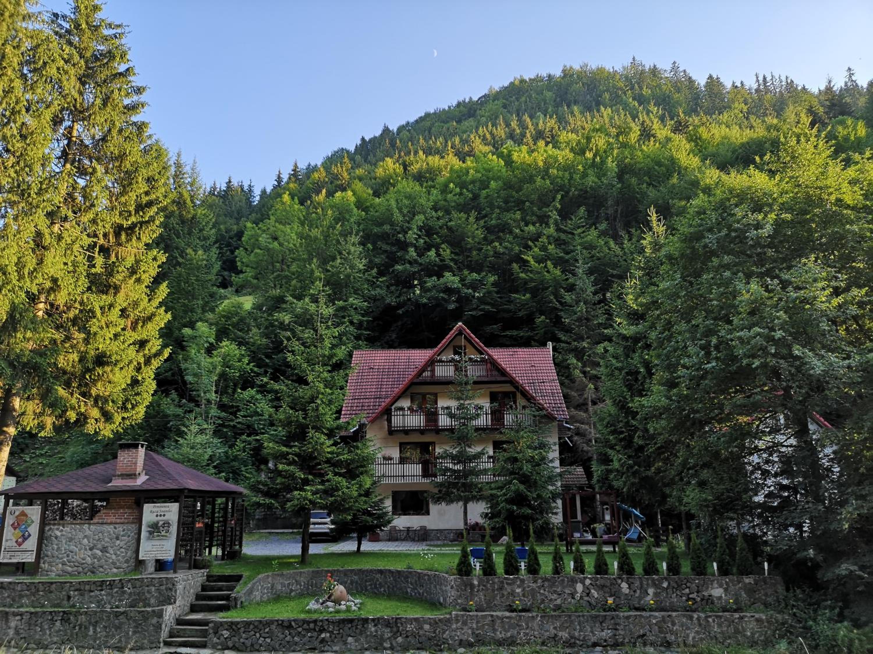 Raza Soarelui view 3