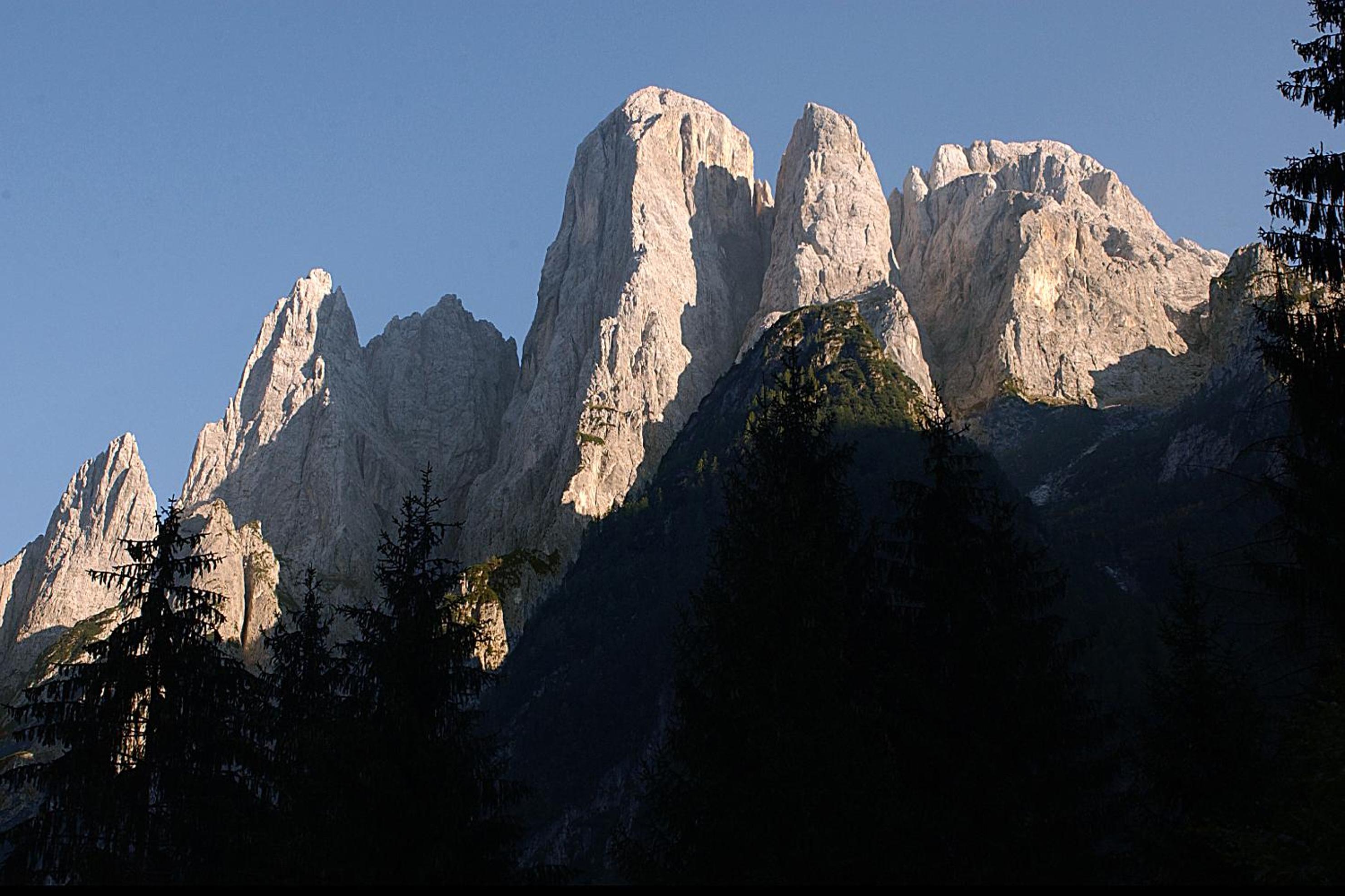 Photo 40
