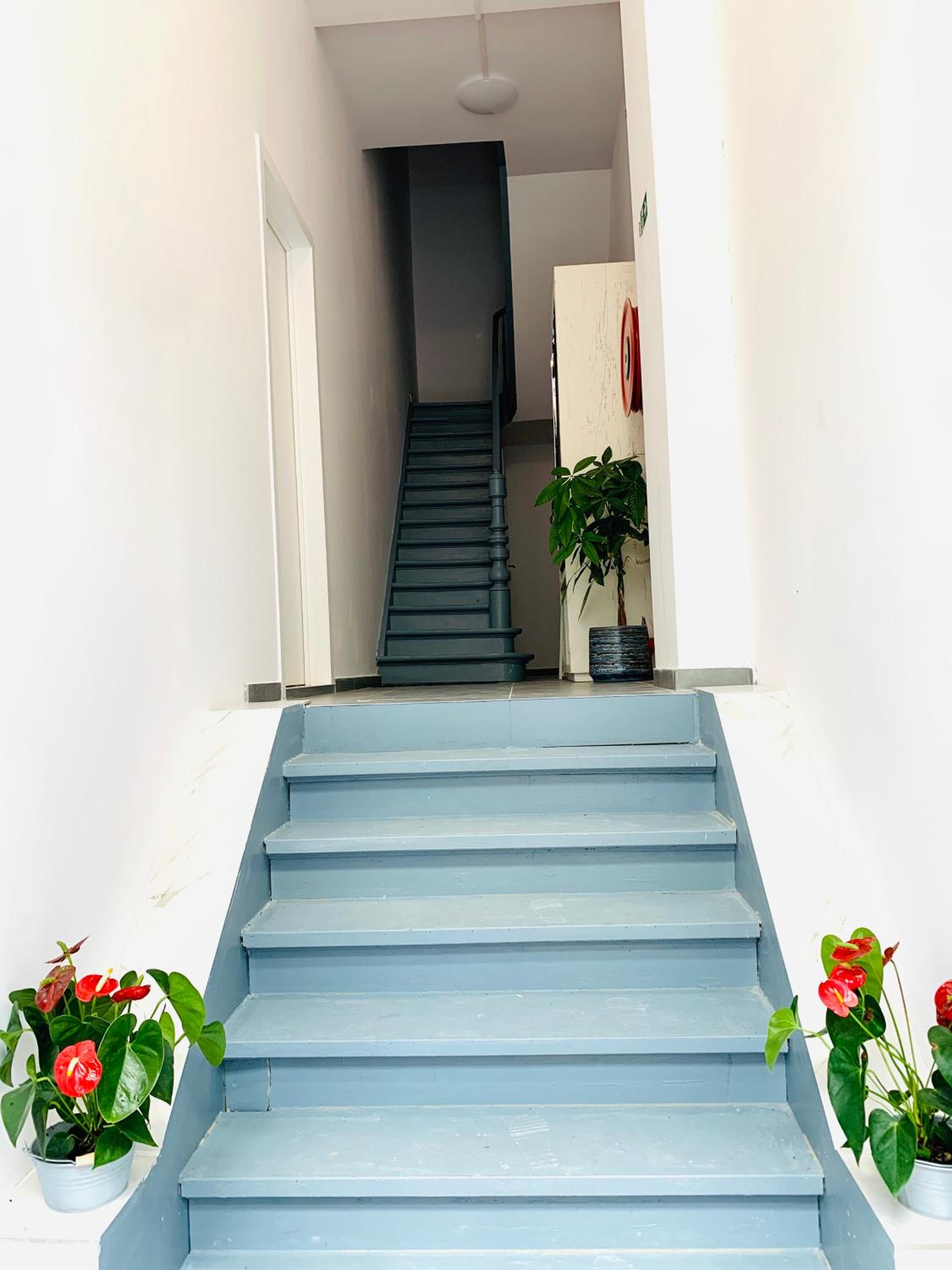 Photo 38