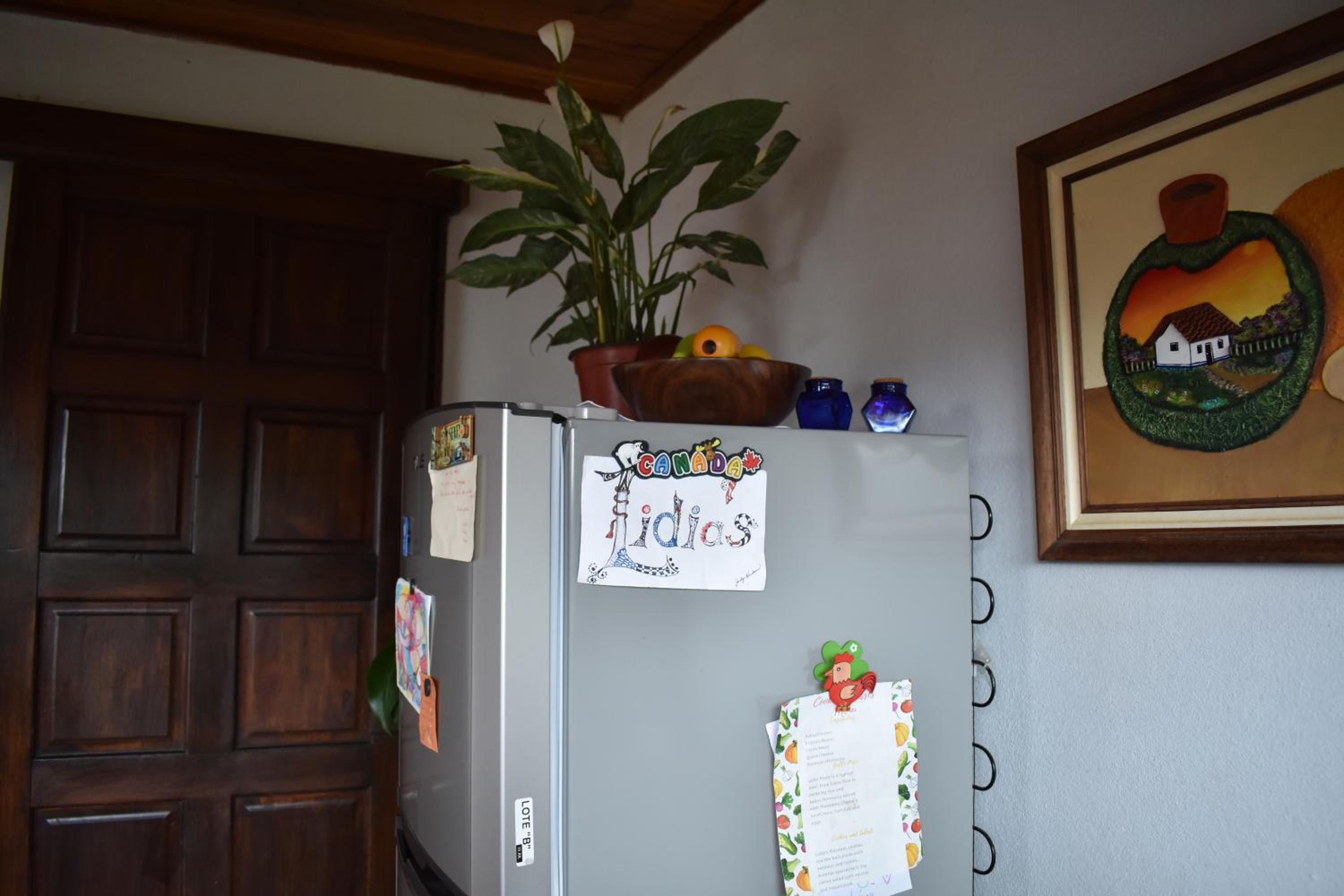Lidia's Mountain View Vacation Homes
