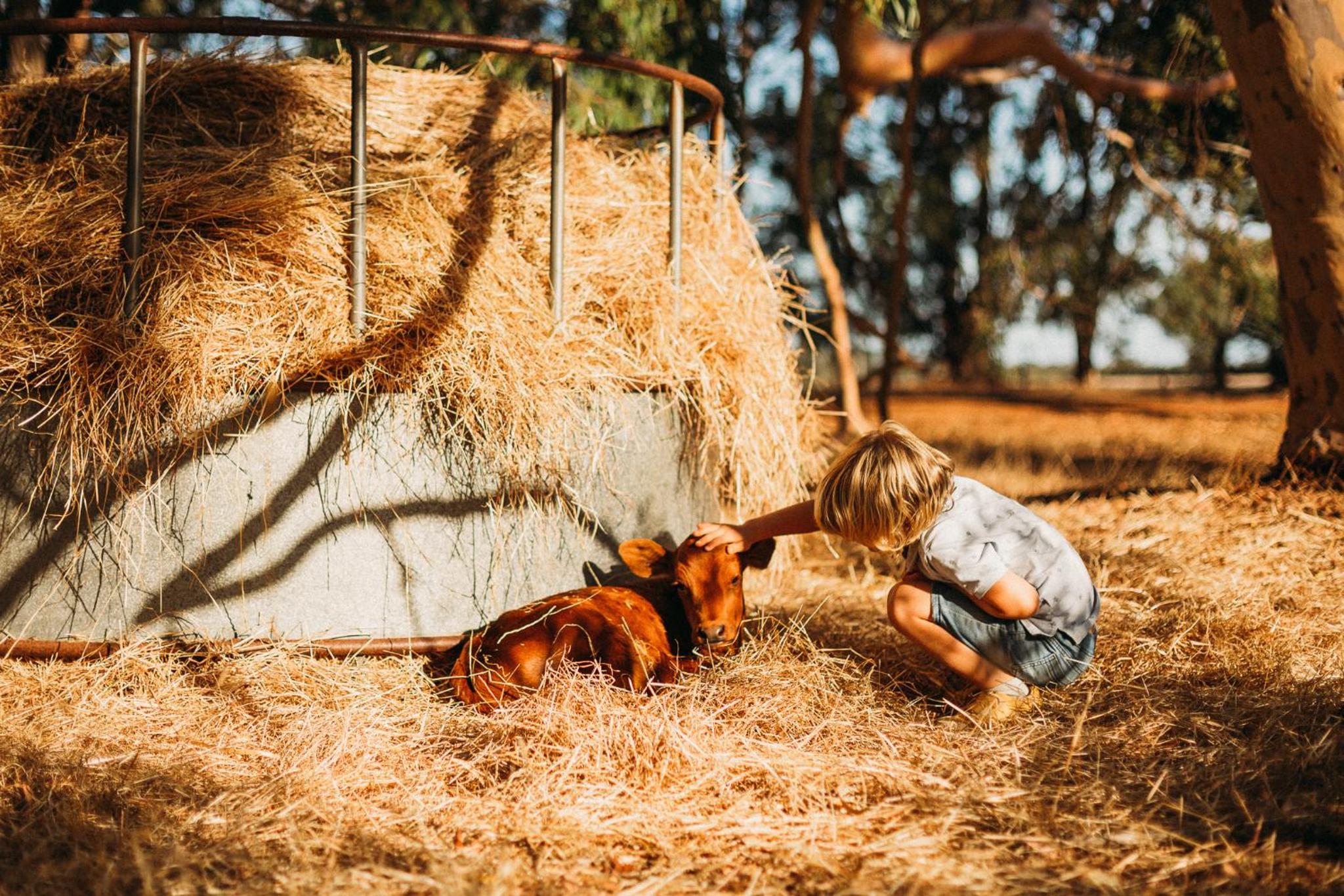 Margaret River Holiday Cottages
