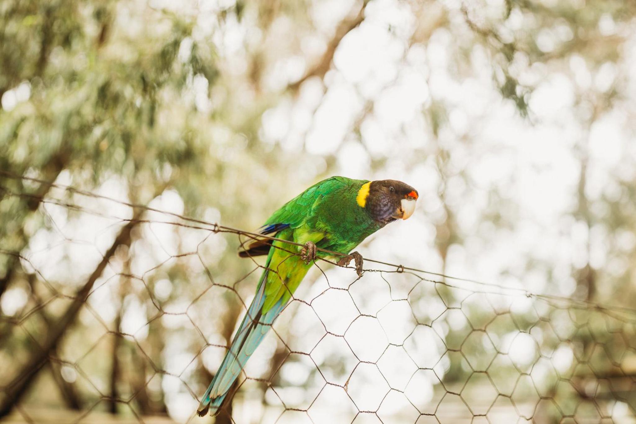 Margaret River Holiday Cottages