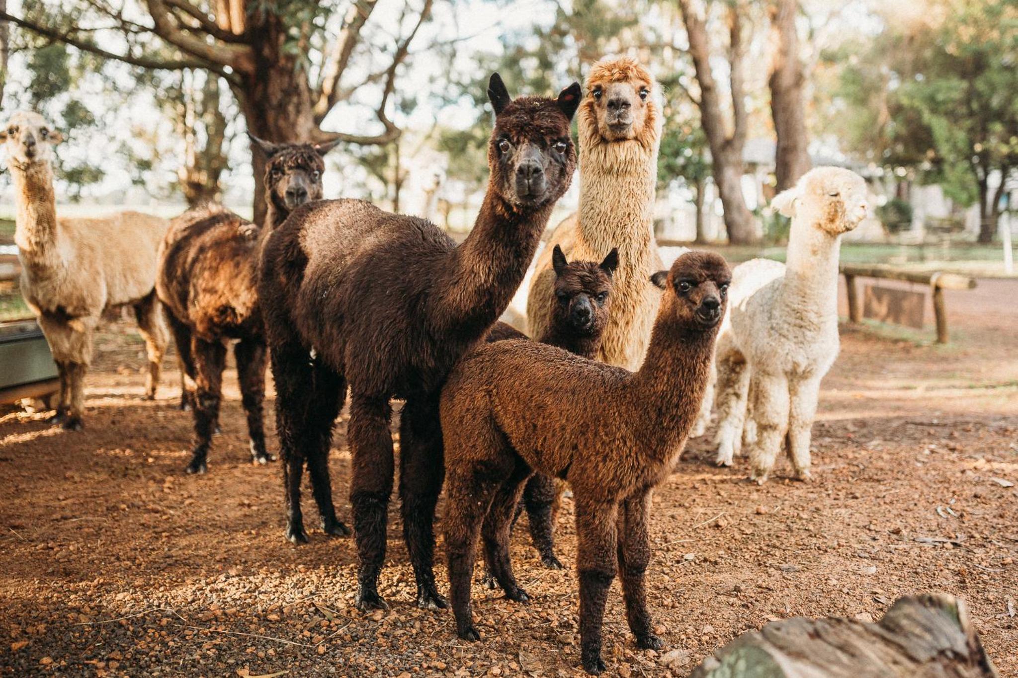 Margaret River Holiday Cottages