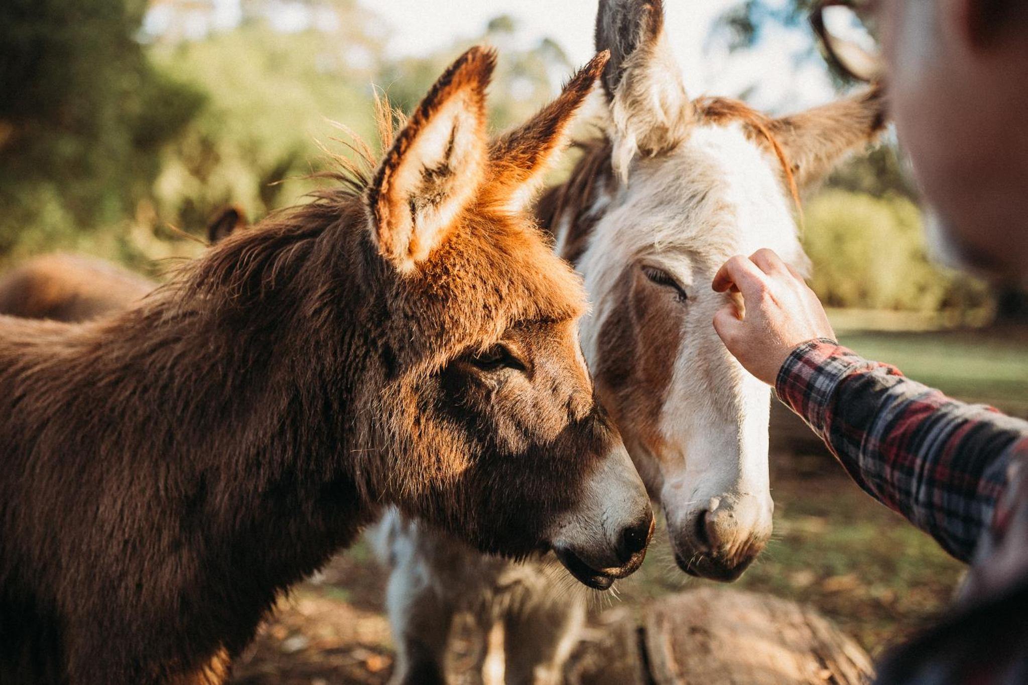 Margaret River Holiday Cottages