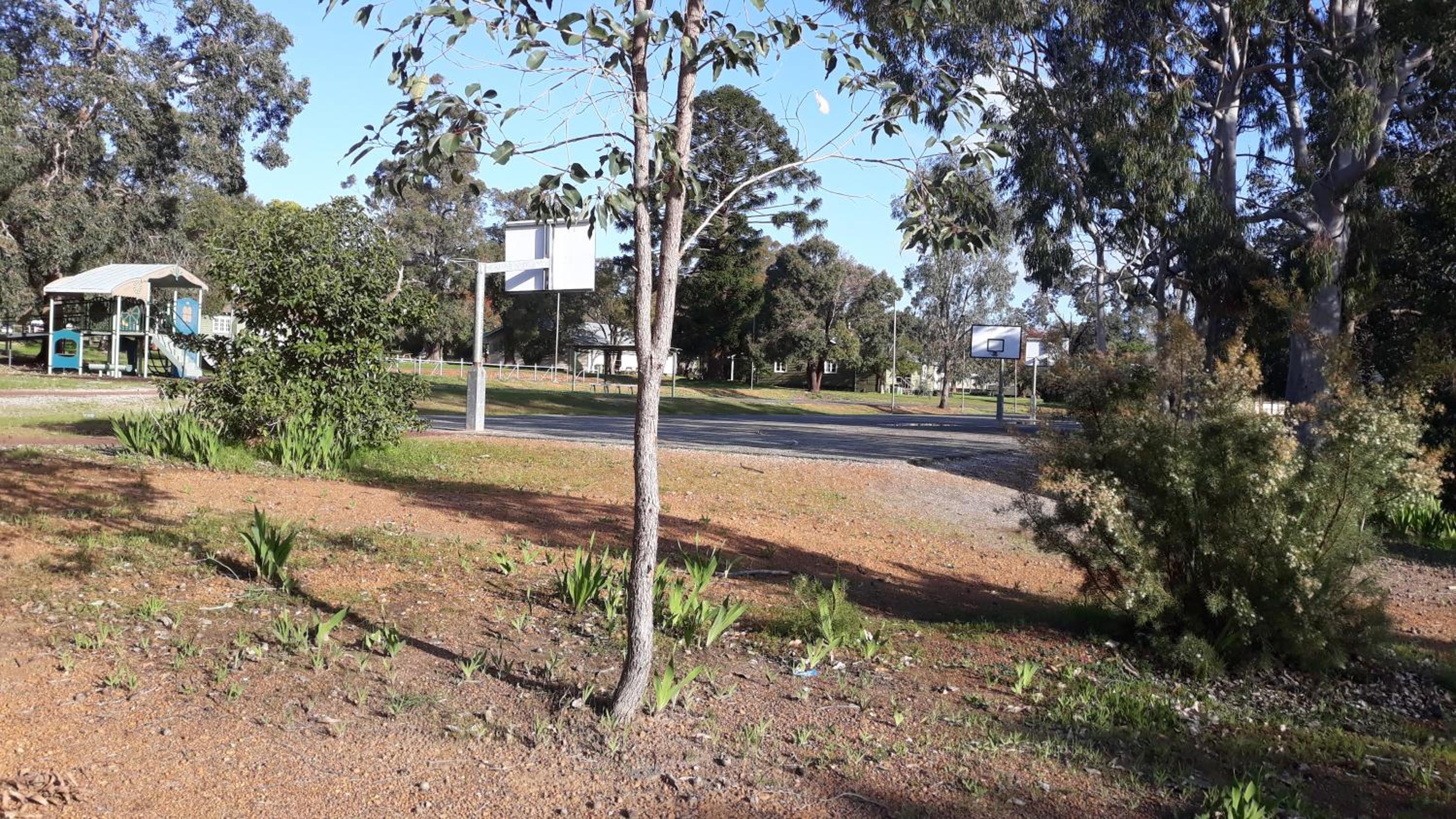 Photo 46