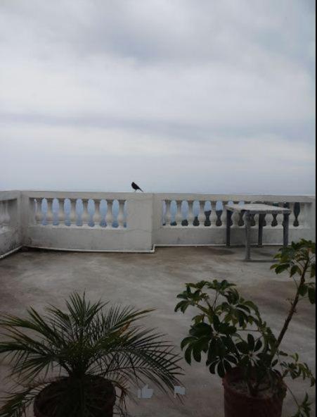 Hotel Natraj, Upper Dharamshala view 3