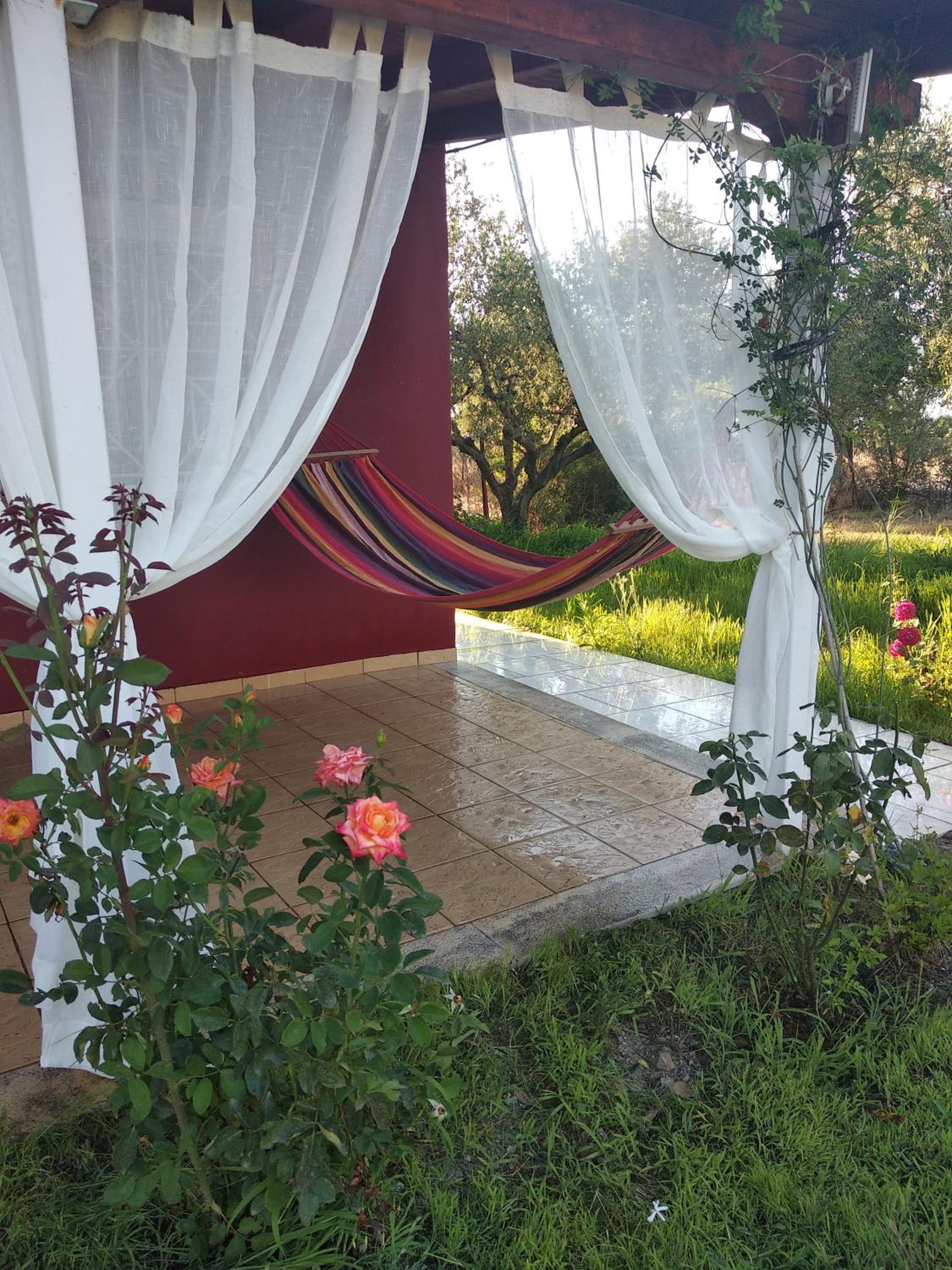 Olive garden guest house view 3