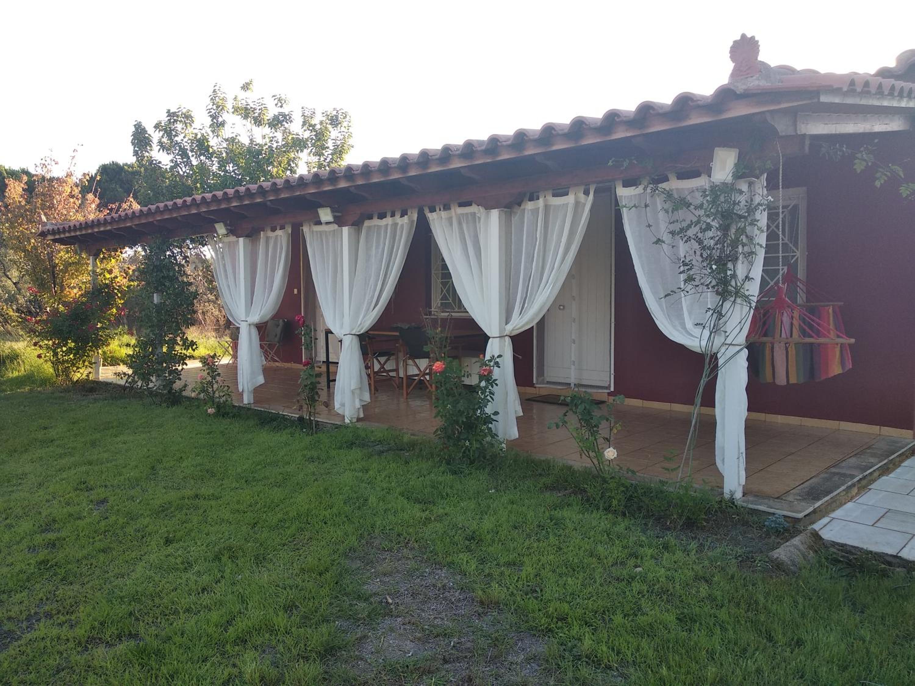 Olive garden guest house view 2
