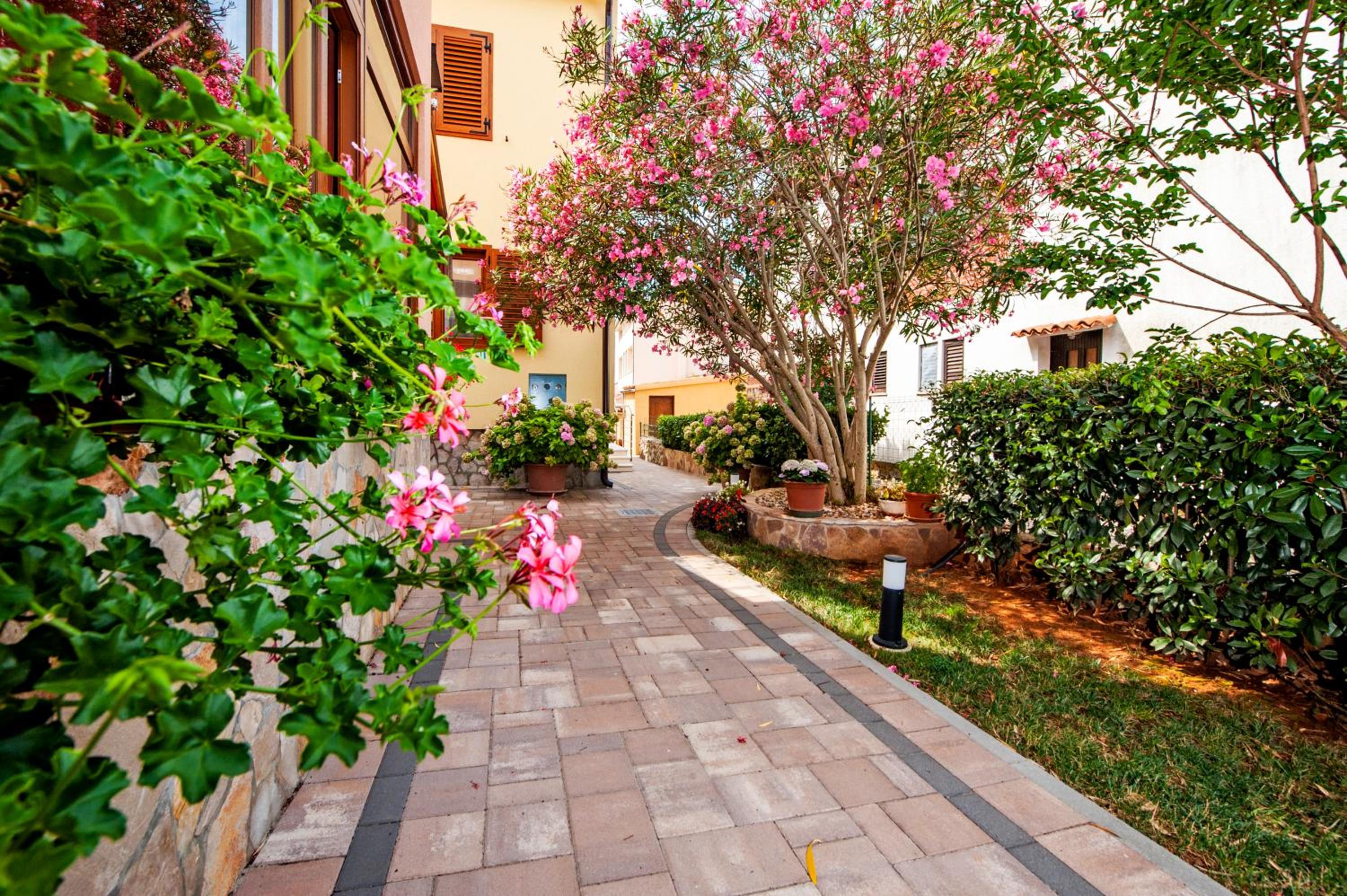 Casa Leona view 4