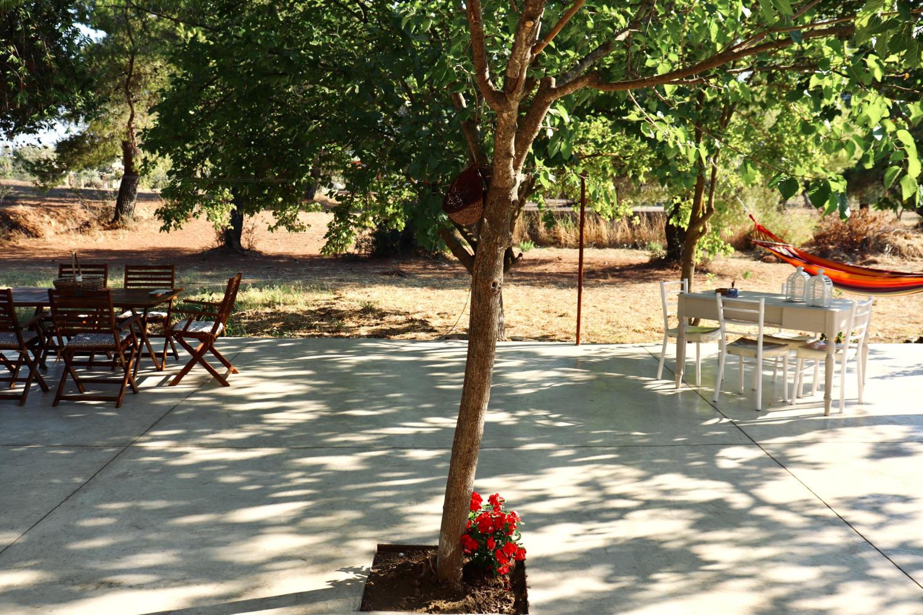 Aura House - Serene and breezy home under pines view 5