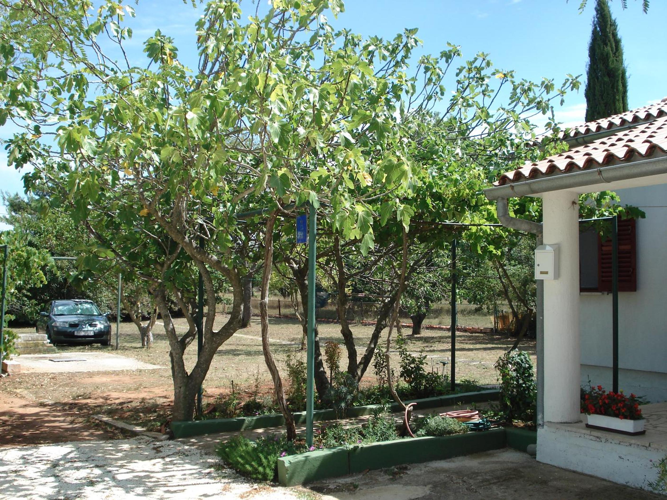 Medel view 3