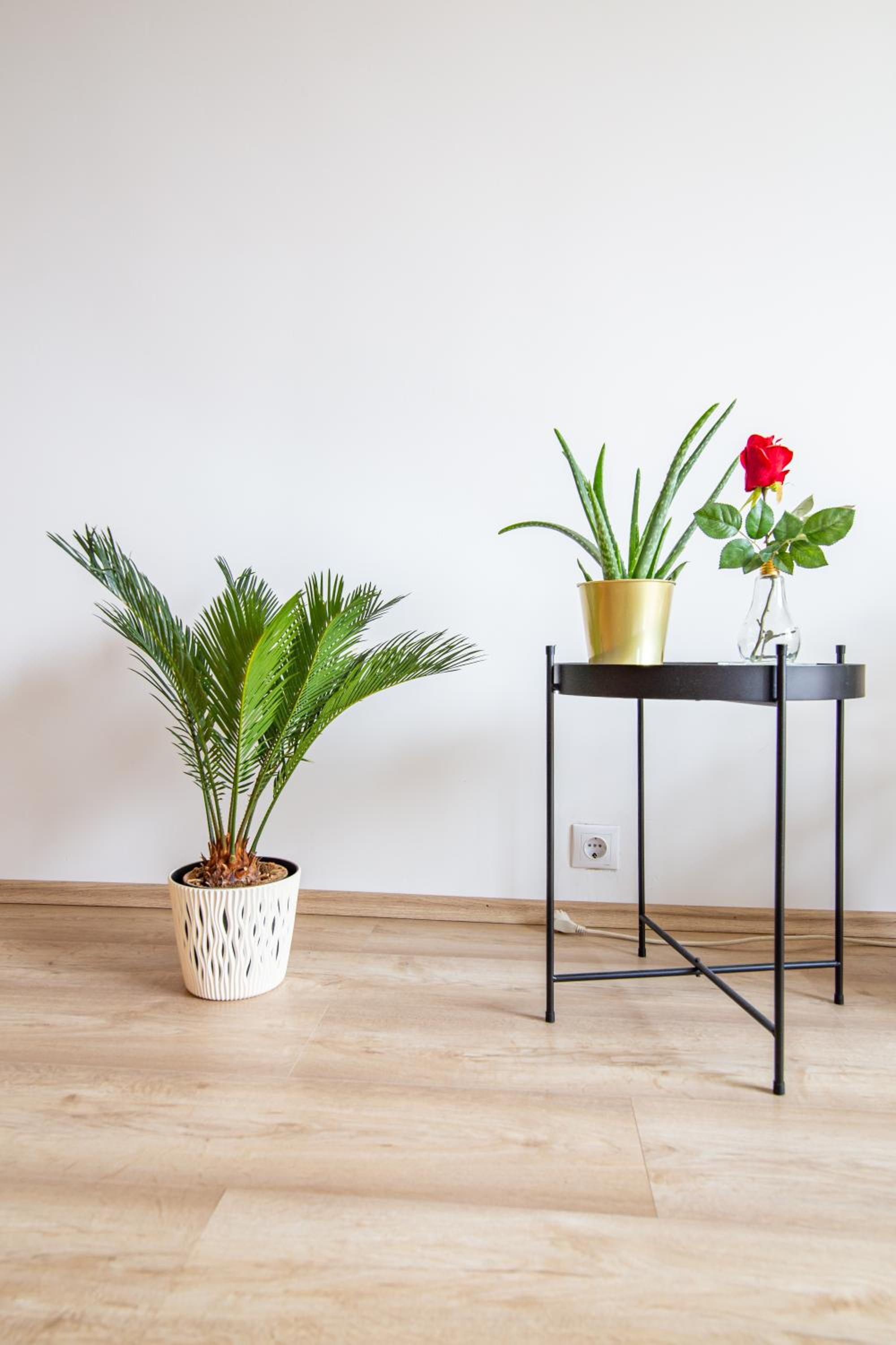 Central Vienna Suite - Authentic Comfort, Self Check-In, AC and Netflix