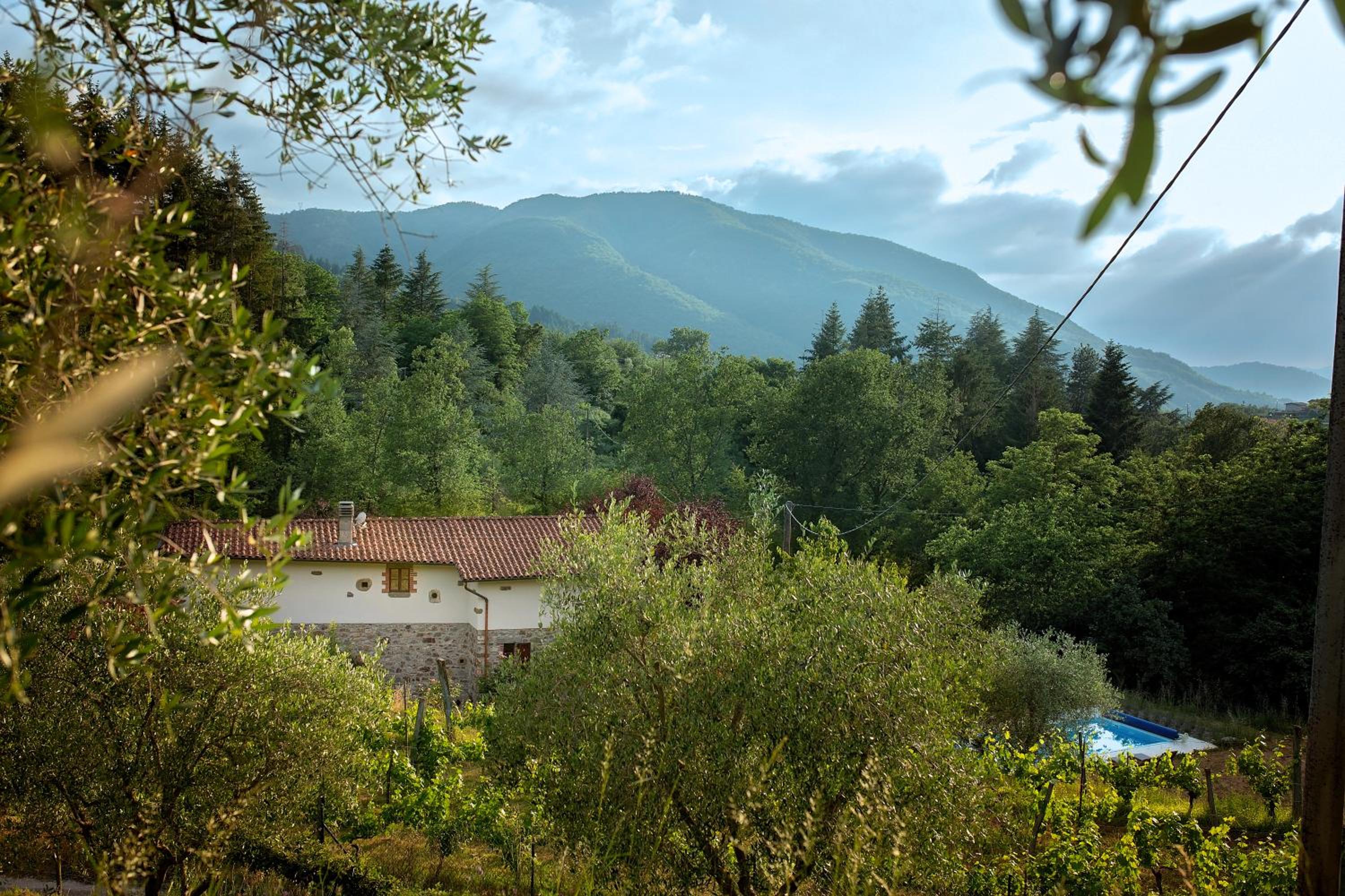 MULINO VECCHIO view 3