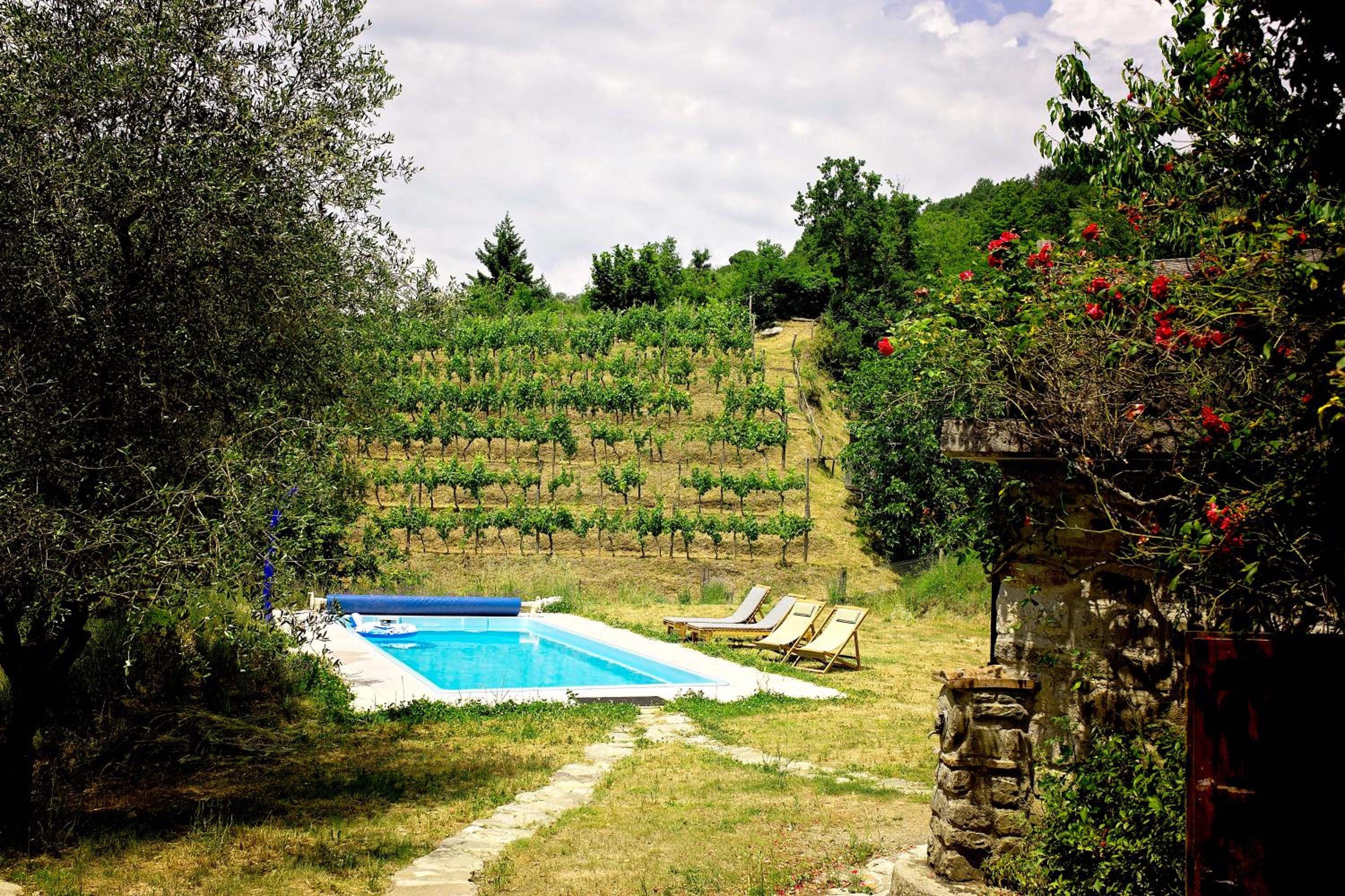 MULINO VECCHIO view 4