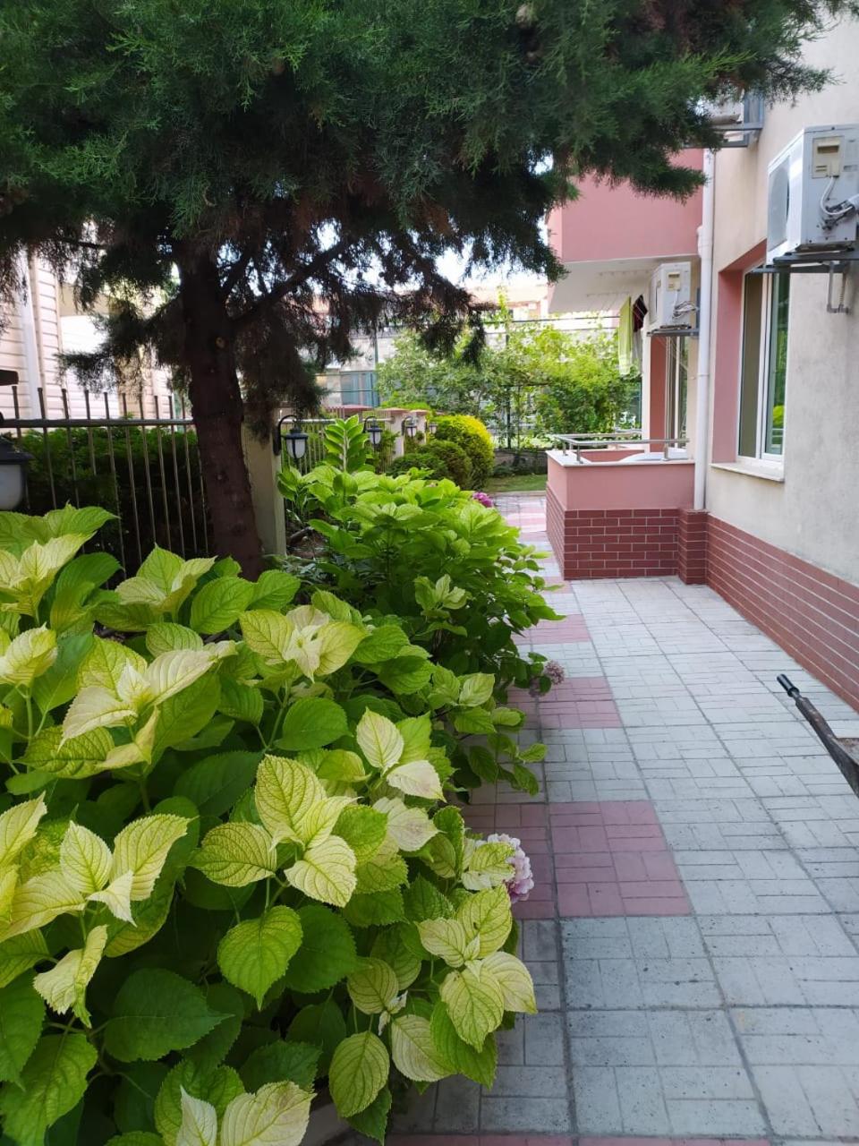 Apartment in Complex TARA view 3
