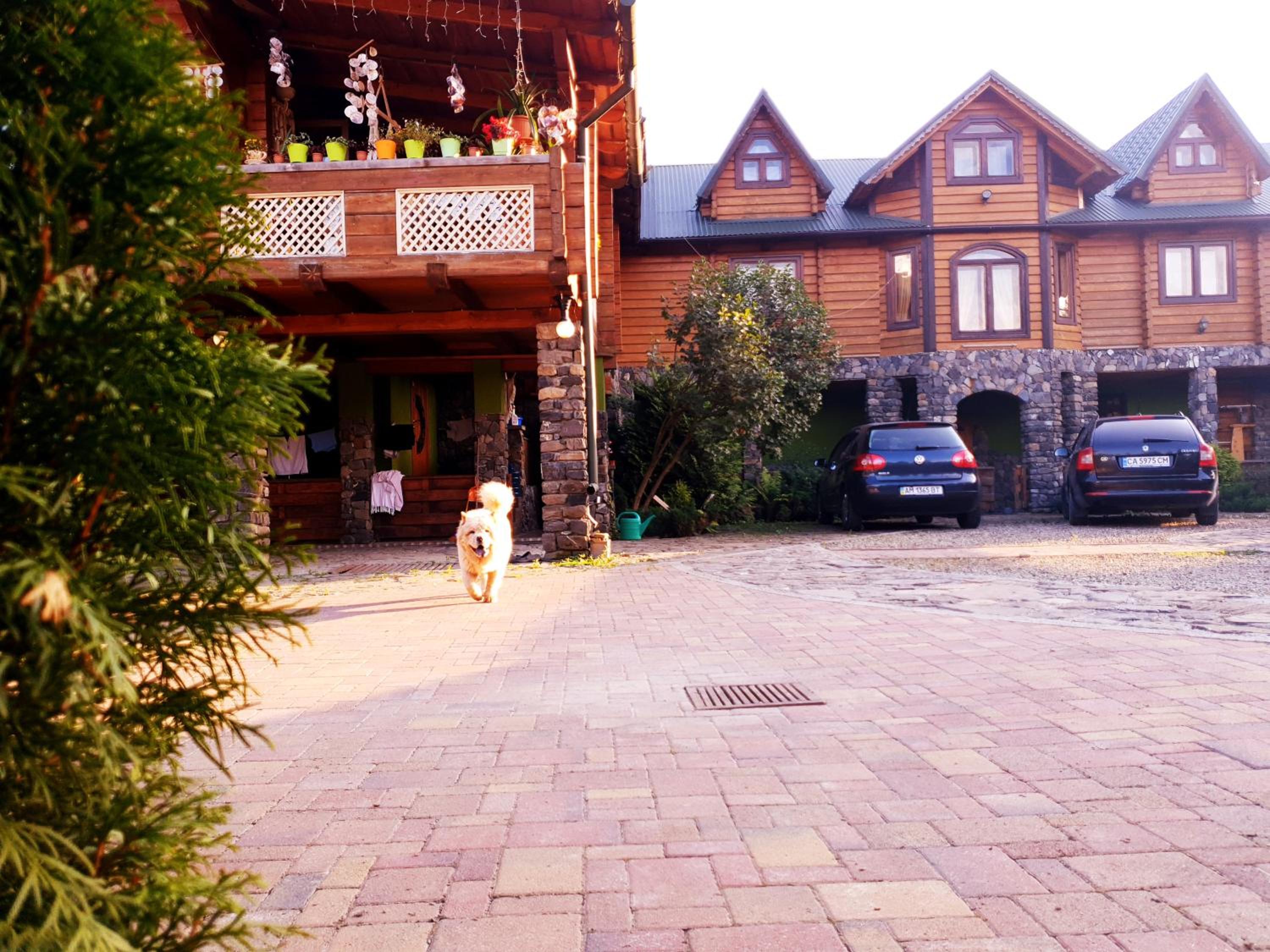Forest House, photo 58