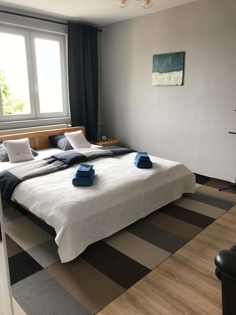 Apartmán ZIRBE view 4